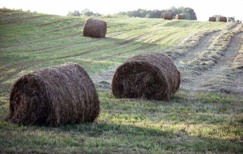 a couple of hay bales sitting on top of a lush green field