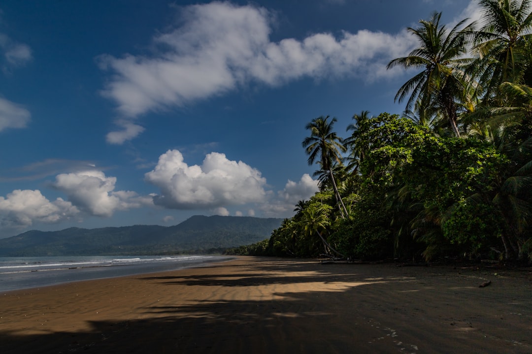 A picturesque tropical beach scene with palm trees along the coastline, shadow patterns on the sand, and the ocean in the distance, all under a blue sky dotted with fluffy clouds.