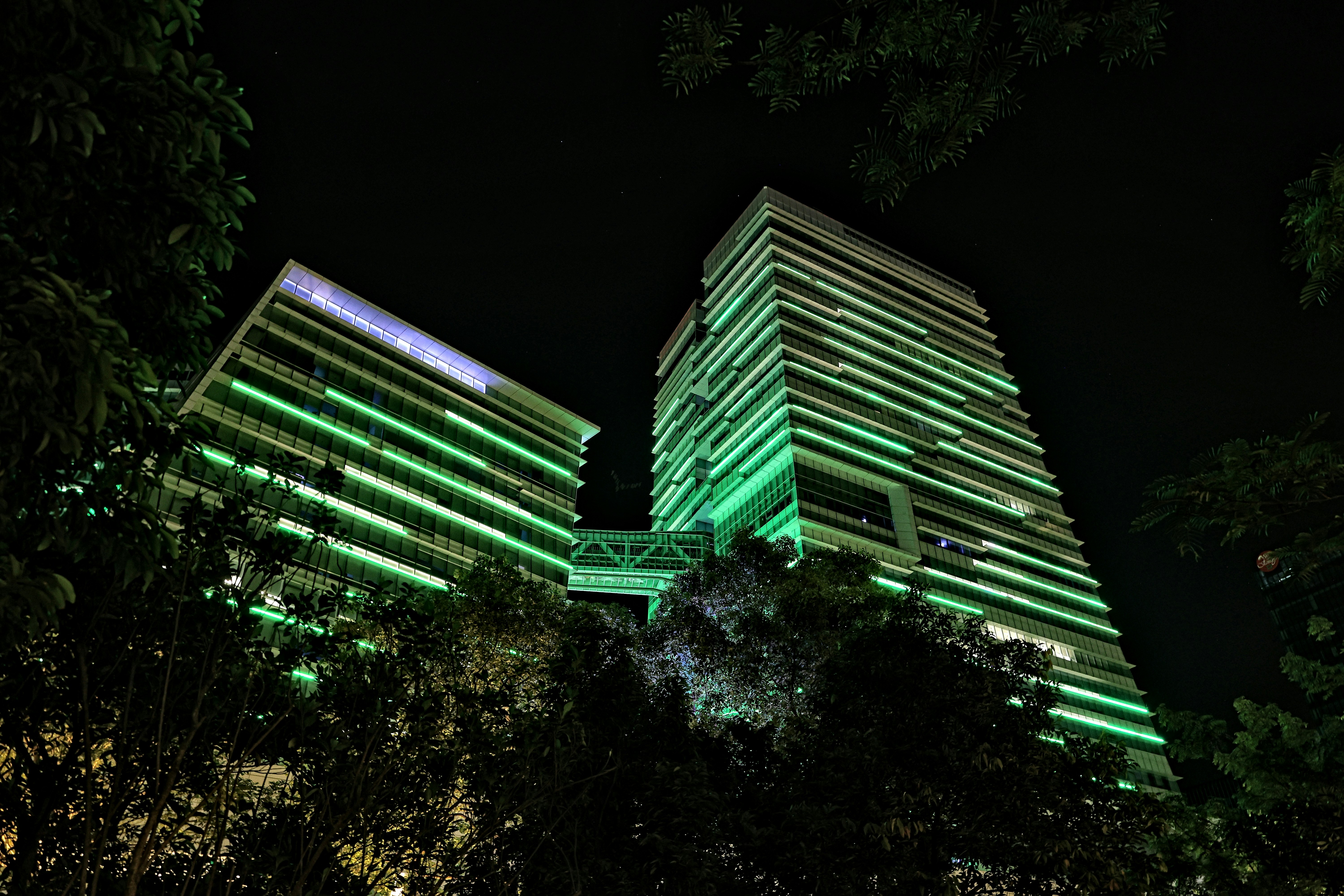 Photo by whopperlover