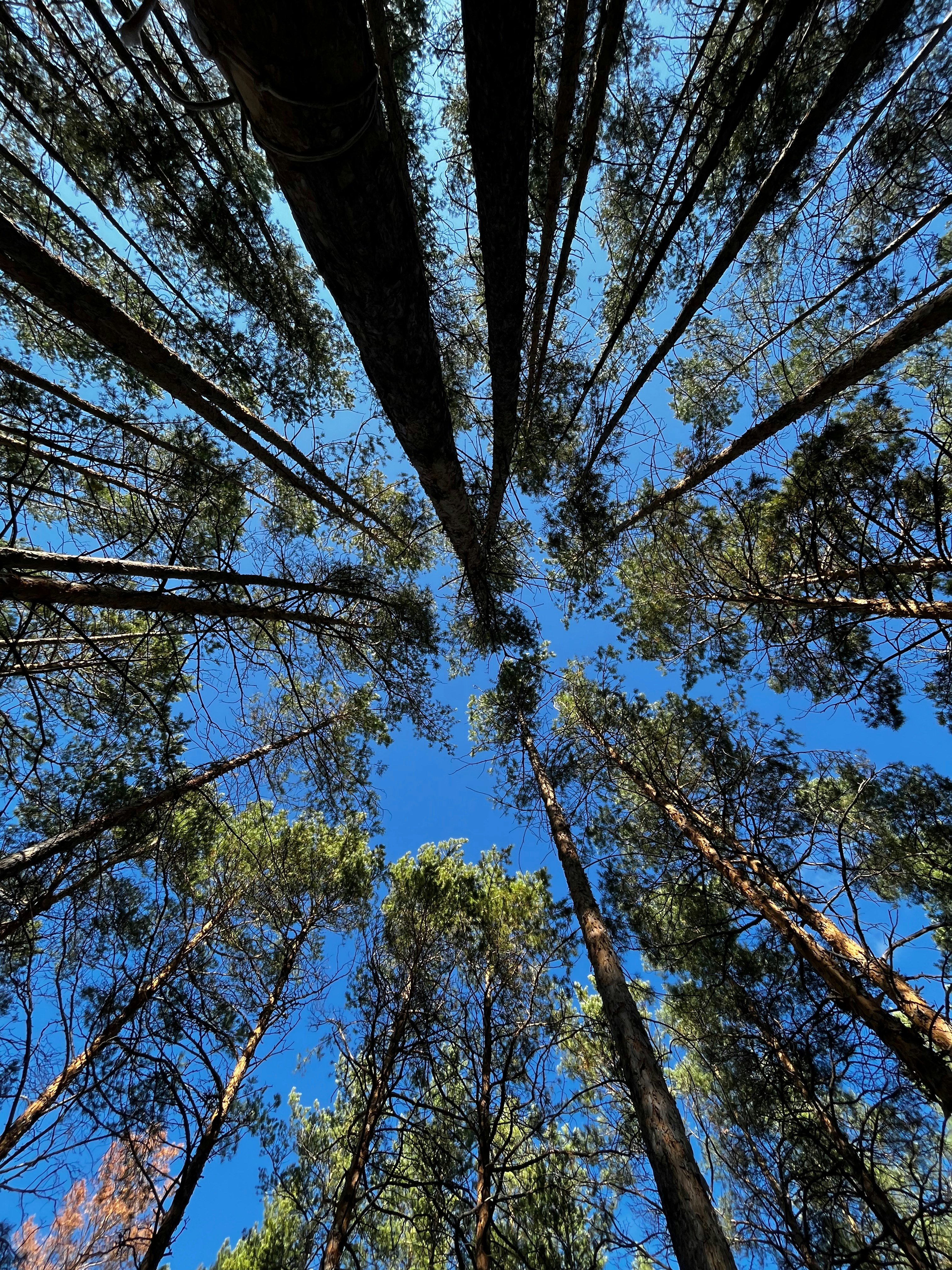 Photo by lunar_flower