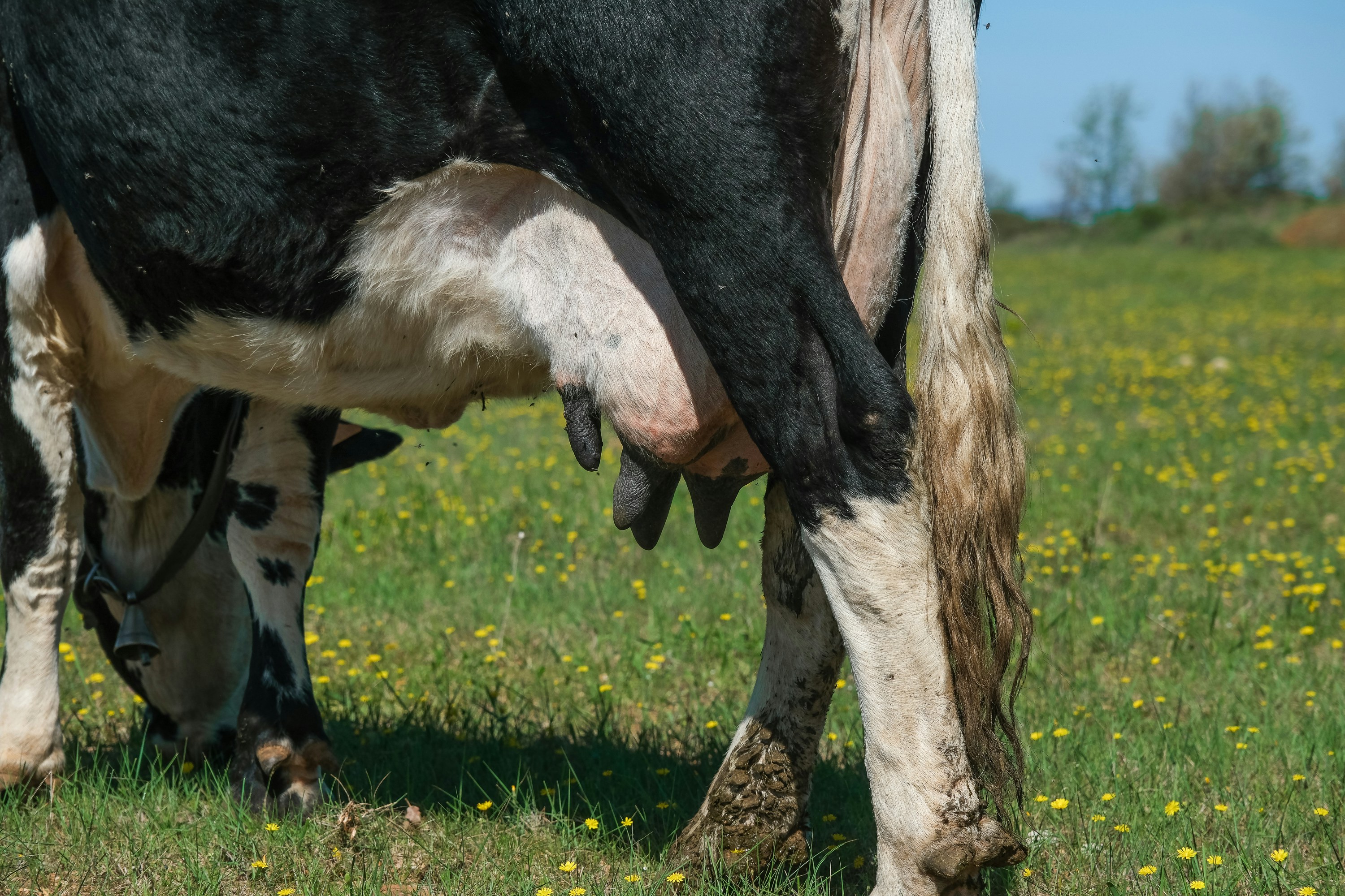 Photo by cestmoisheedy