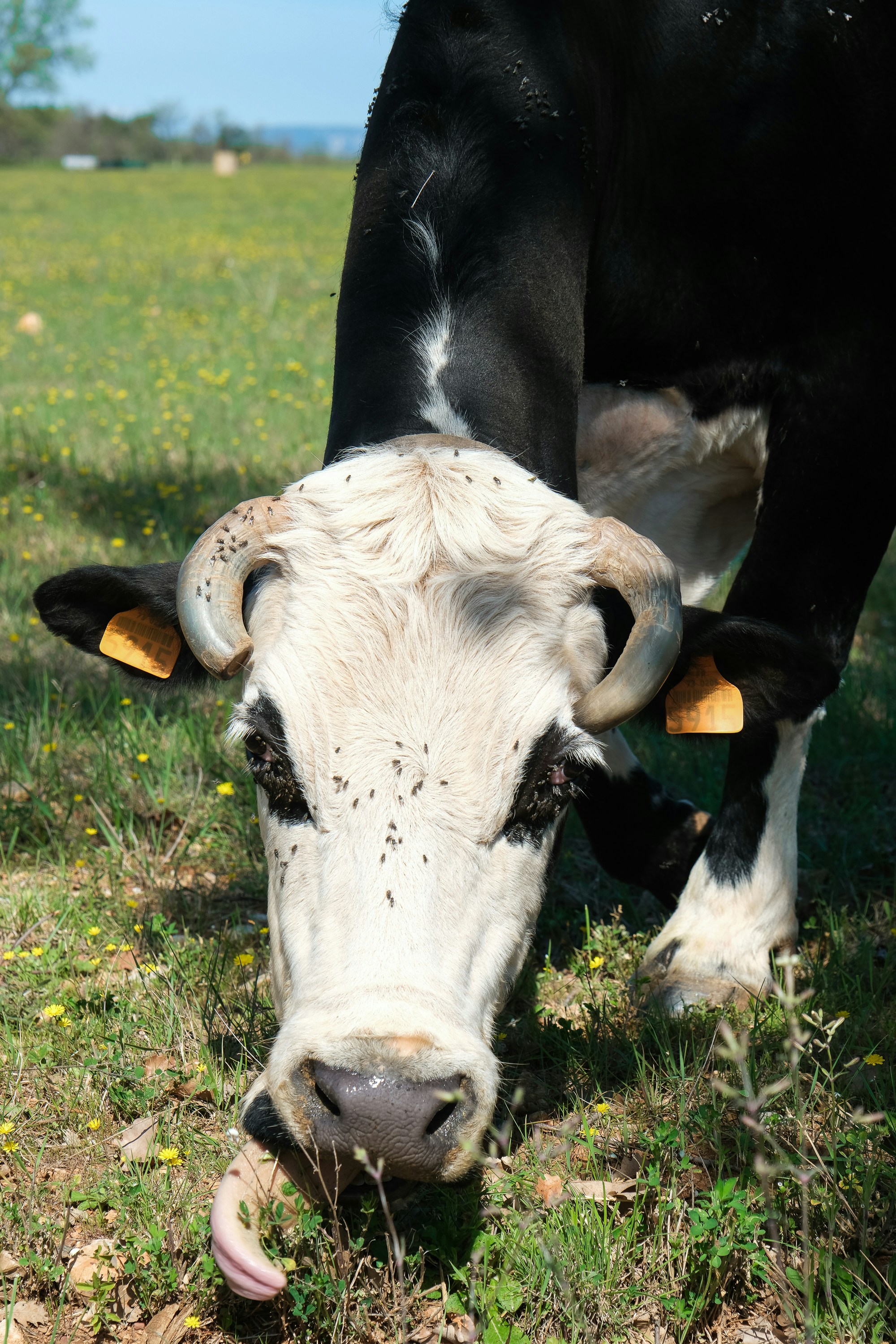 Photo by cestmoisheedy