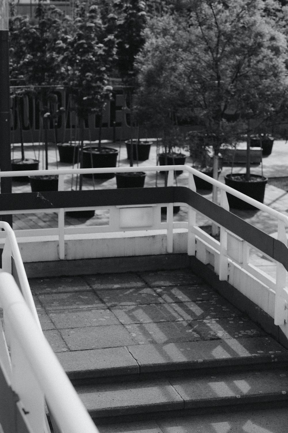 a black and white photo of a set of stairs