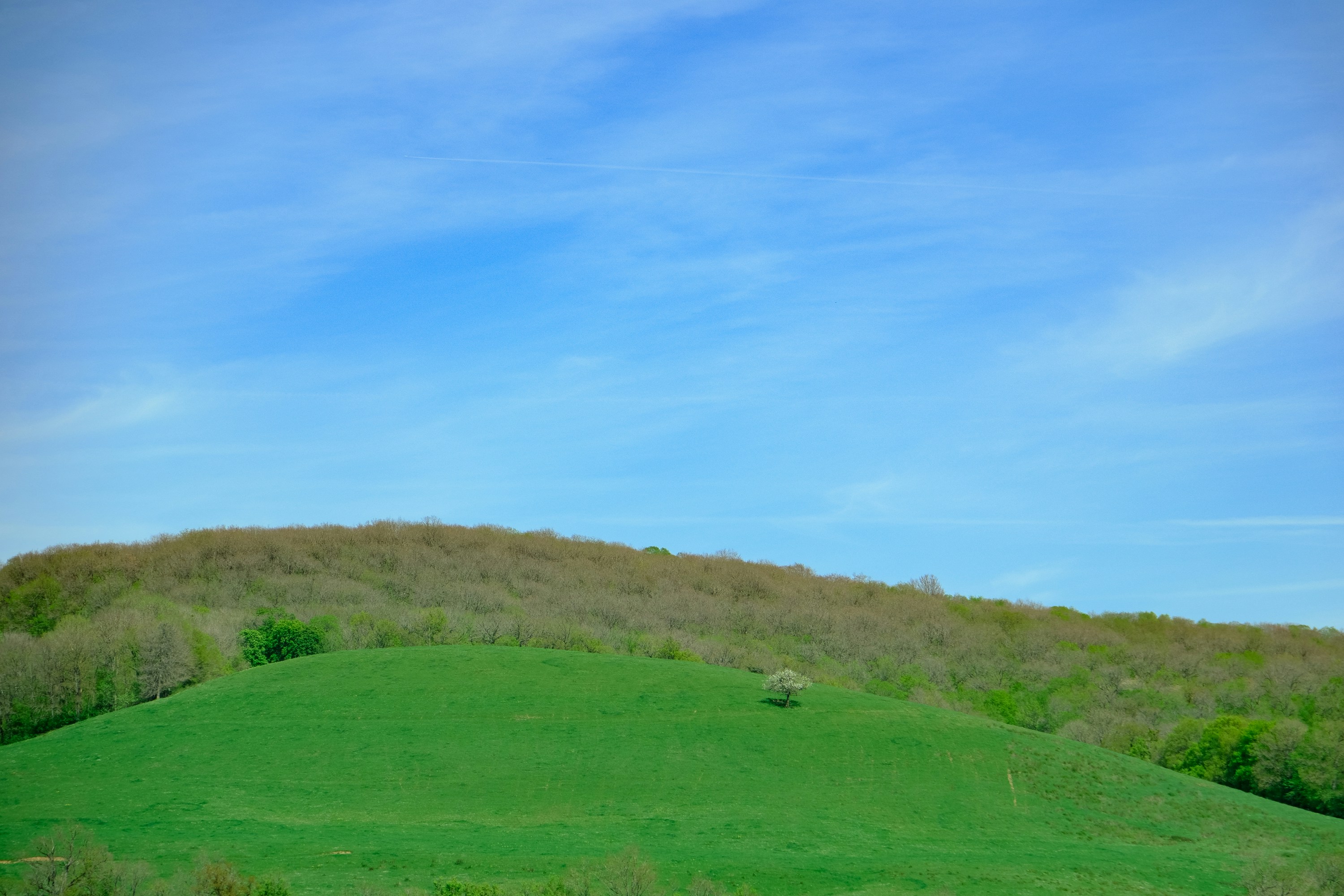 Photo by cestmoisheedy