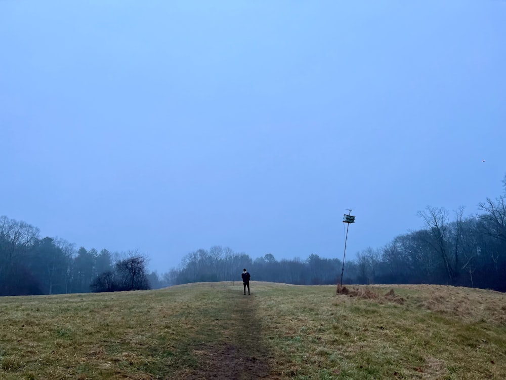 a person standing in a field with a kite in the sky