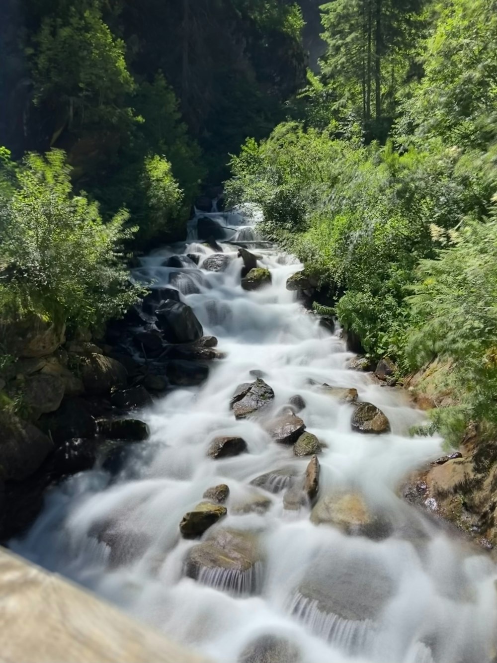 a stream of water running through a lush green forest