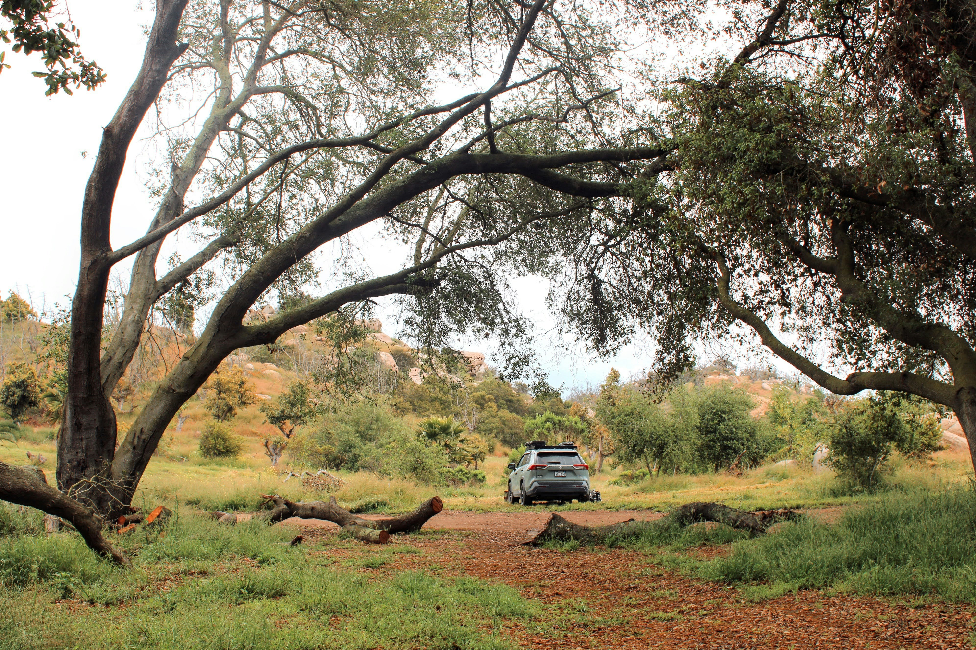 Une voiture est garée au milieu d’un champ