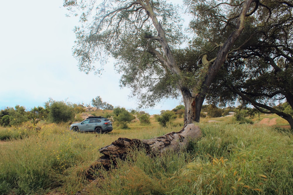 a car parked next to a tree in a field