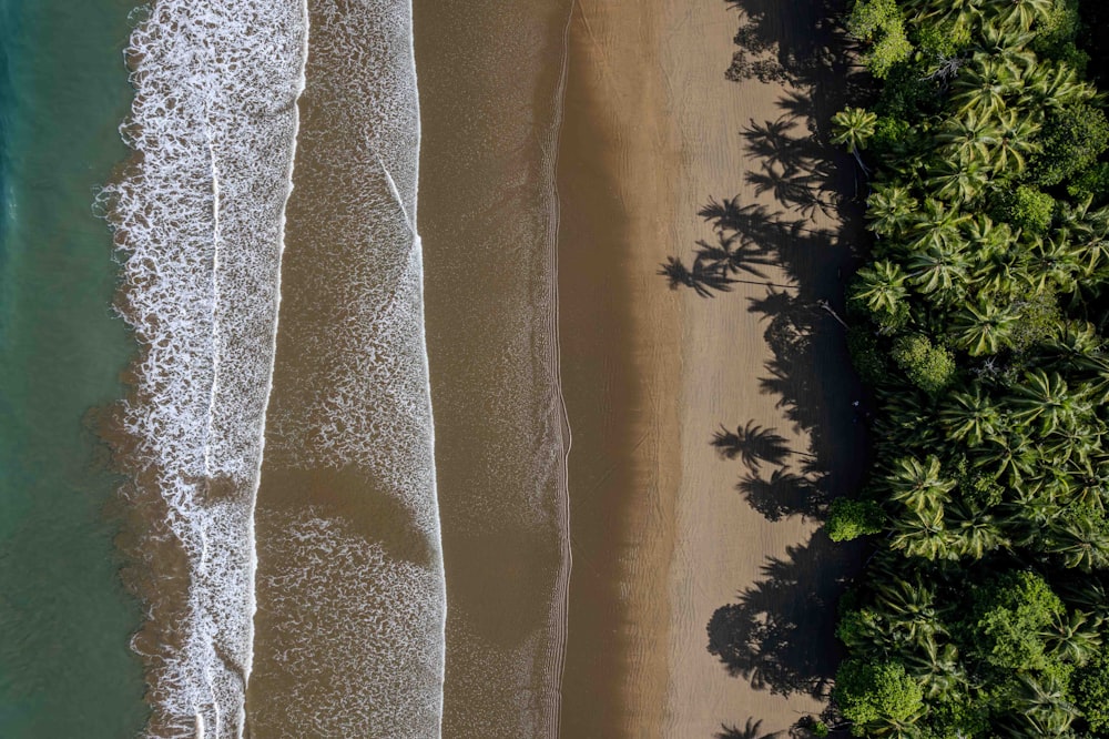 an aerial view of a beach with palm trees