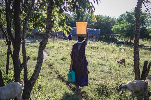 Farmer in the field