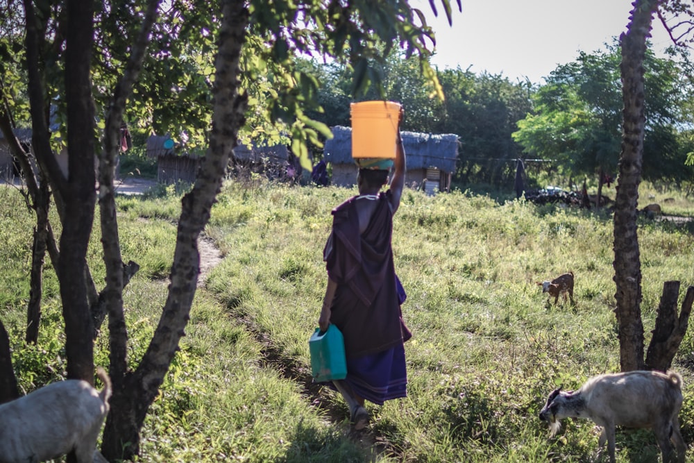 a woman walking through a field with a bucket on her head