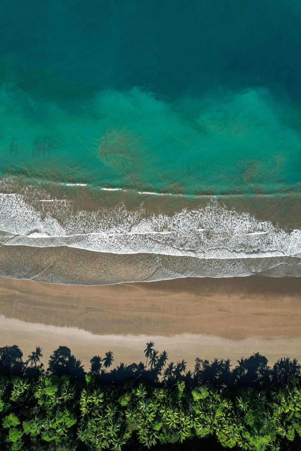 an aerial view of a sandy beach and ocean