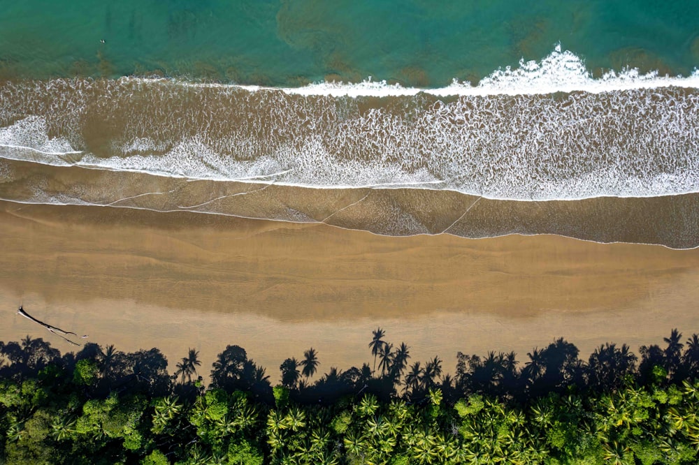 an aerial view of a sandy beach with palm trees