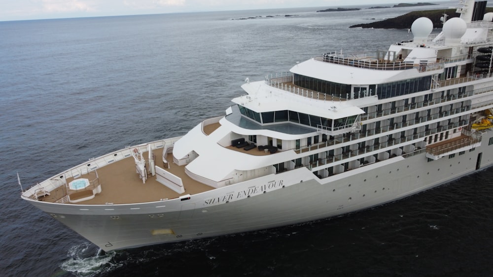 a large cruise ship in the middle of the ocean