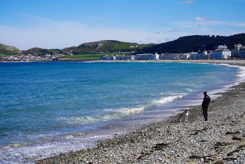 a person standing on a rocky beach next to the ocean