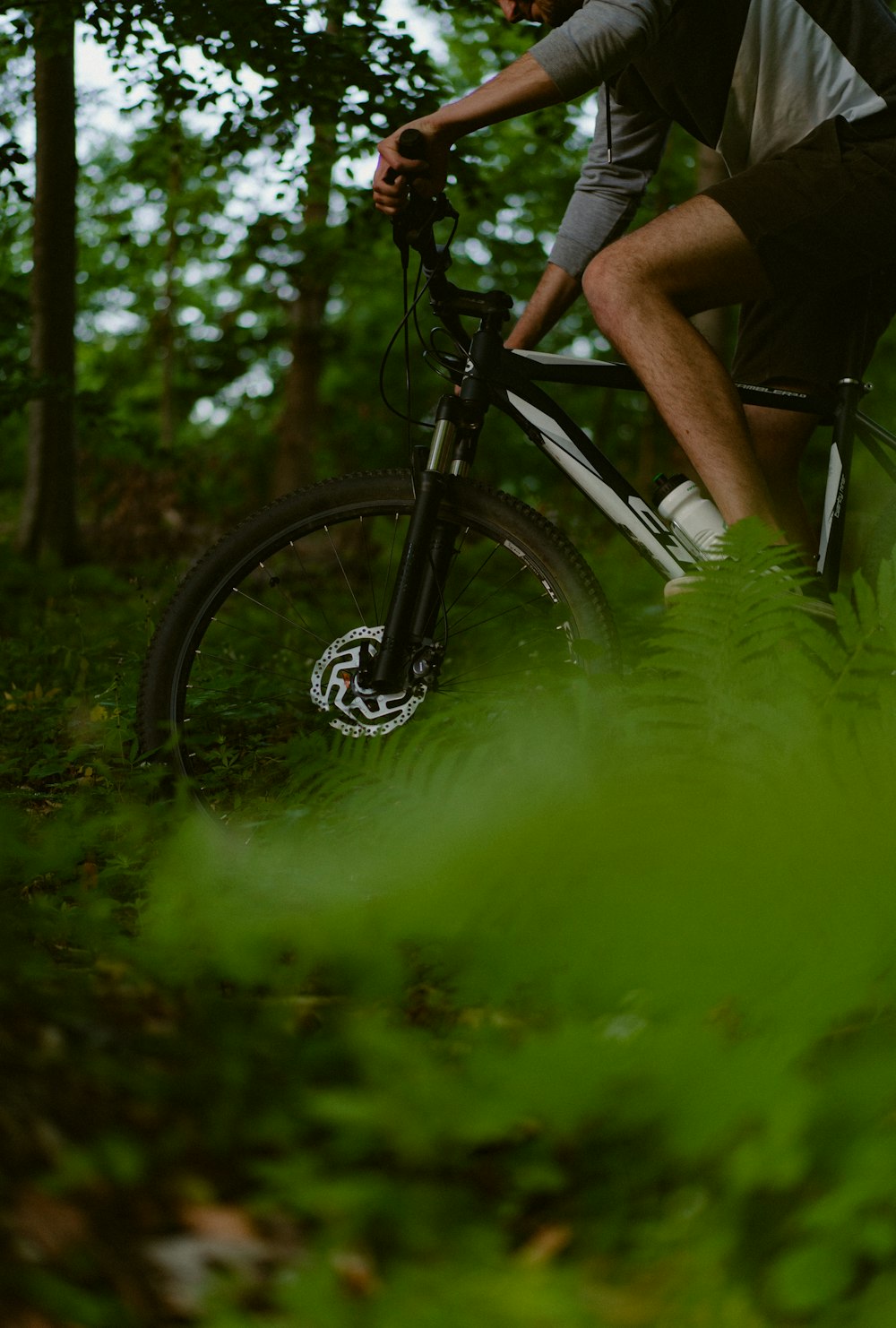 a man riding a bike through a lush green forest