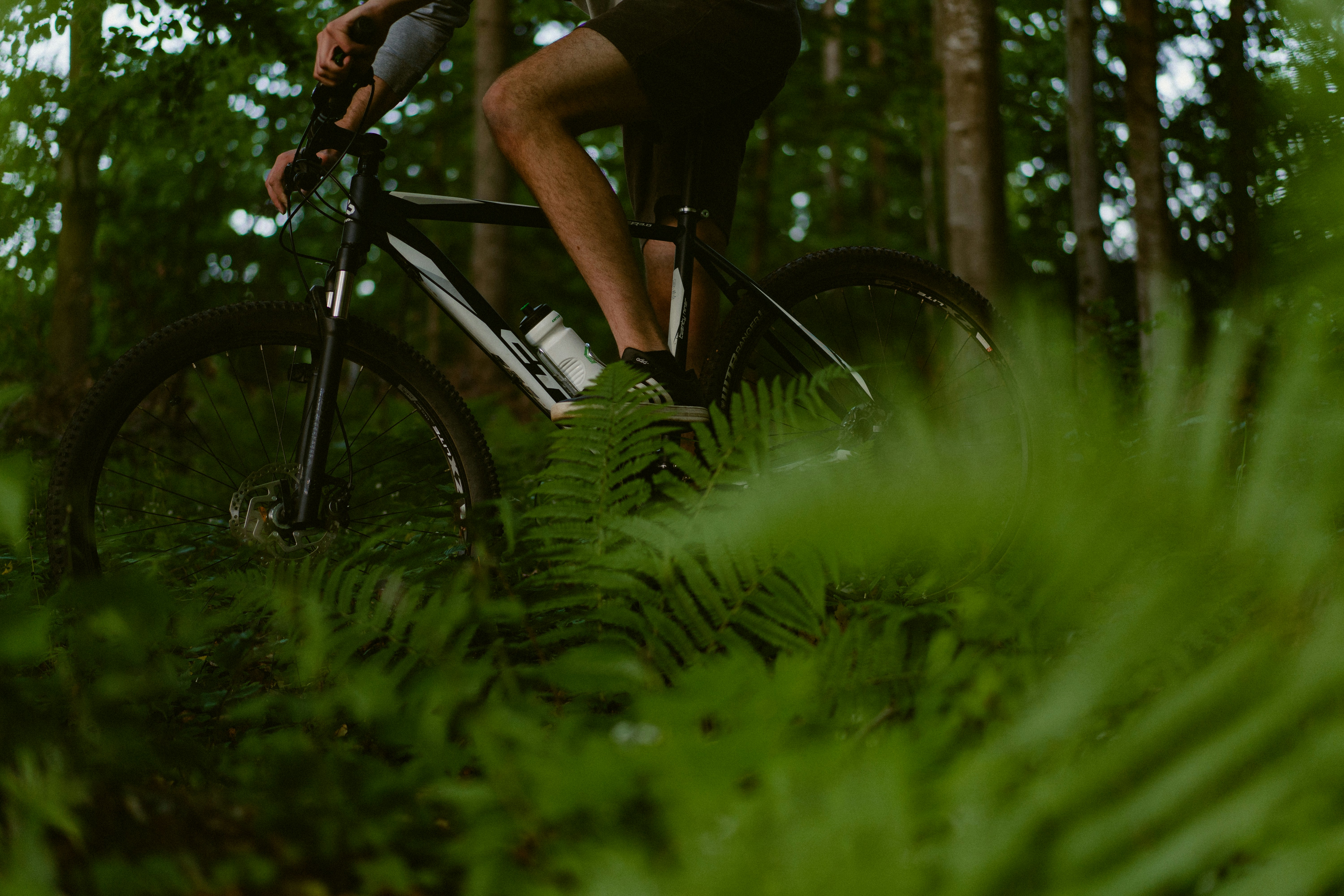 a man riding a bike through a lush green forest