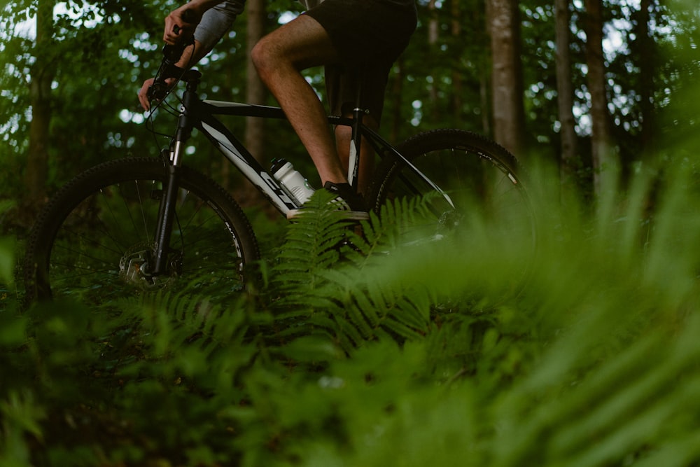 un hombre montando en bicicleta a través de un frondoso bosque verde