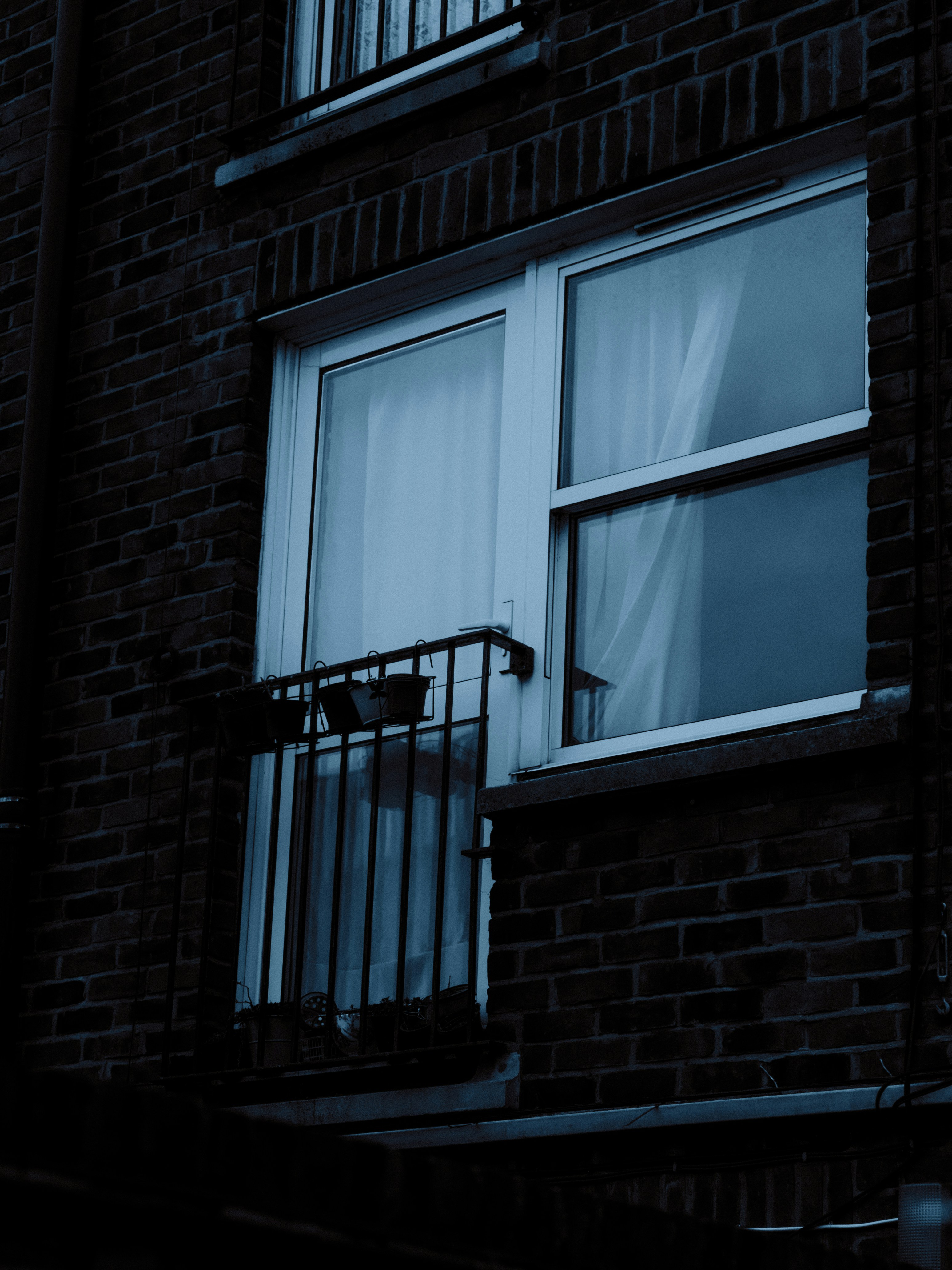 a cat sitting on a balcony looking out of a window