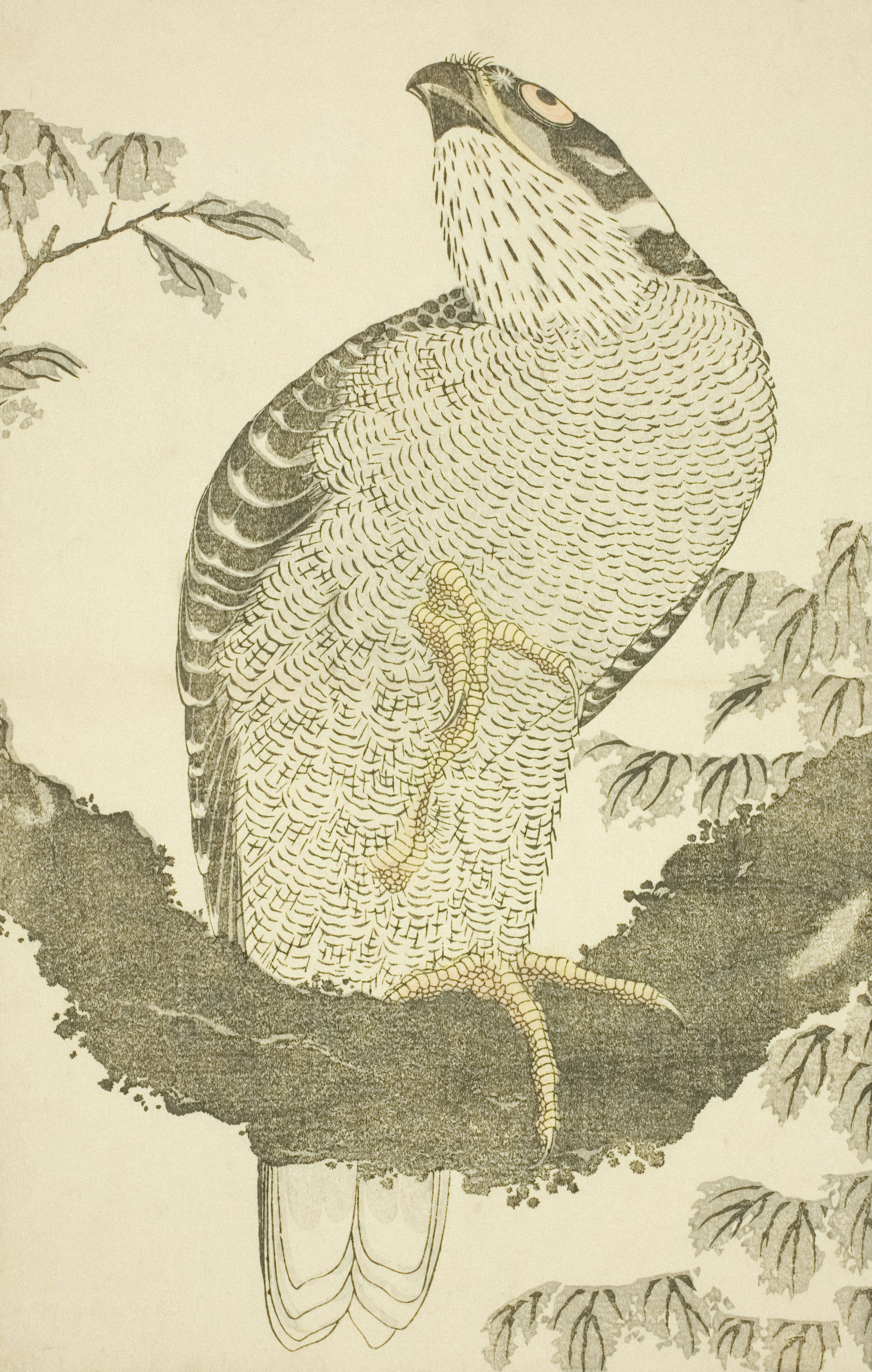 a drawing of a bird sitting on a branch