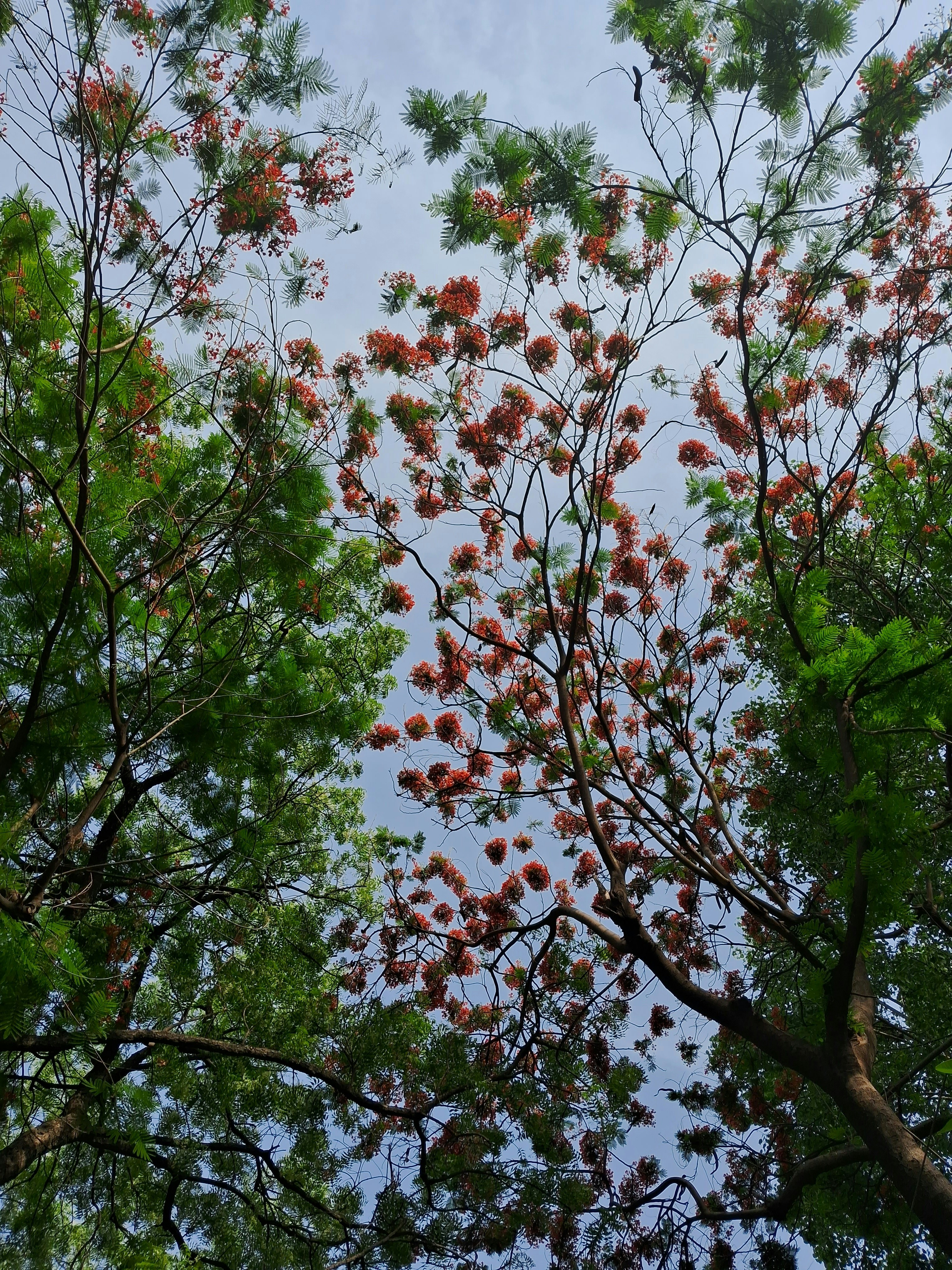 Photo by spandeeta