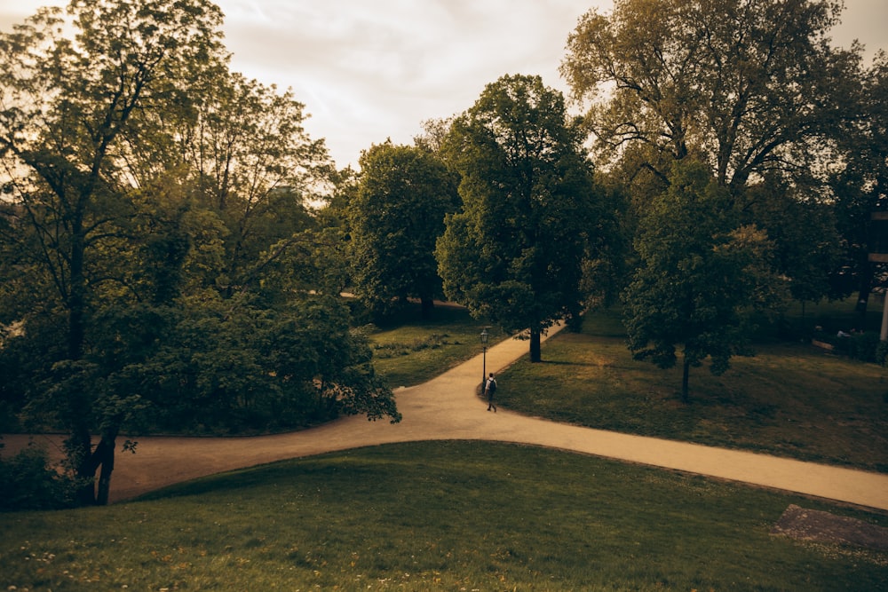 a person riding a skateboard down a path in a park