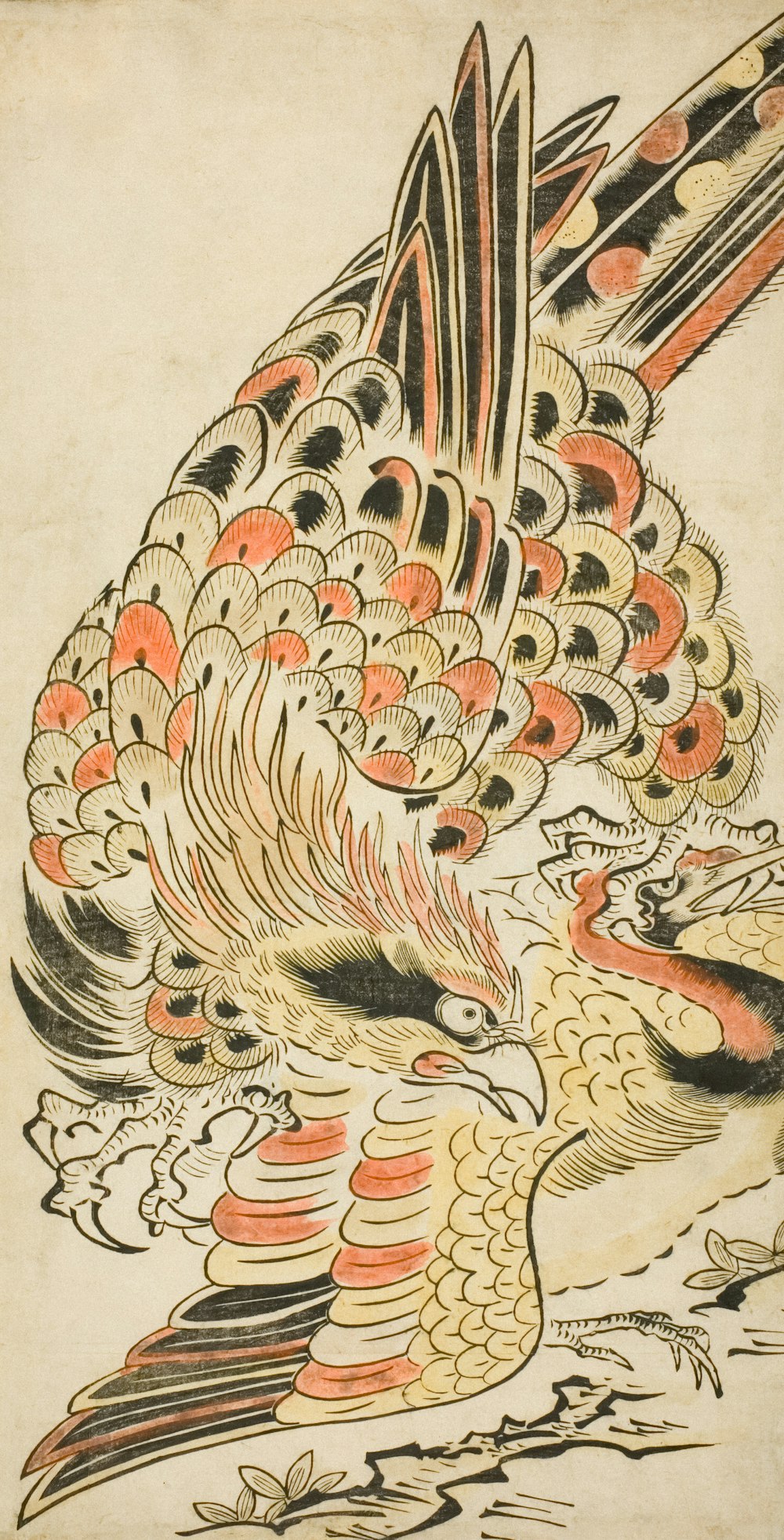 a drawing of a bird with red and black feathers