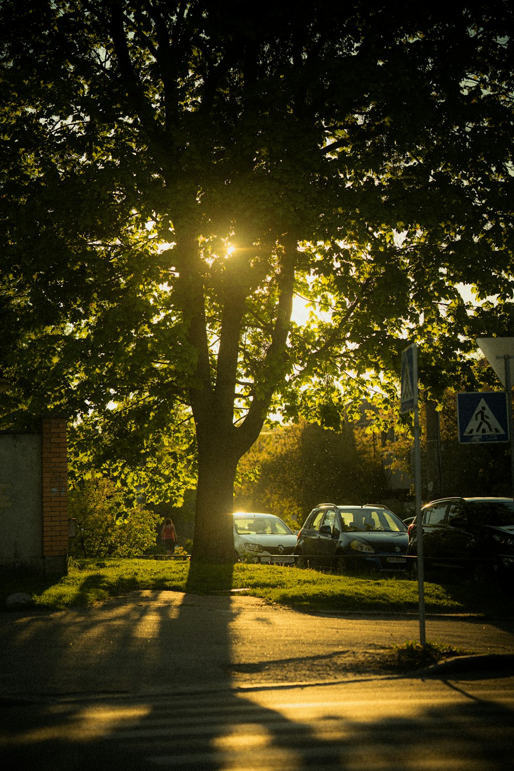 the sun is shining through the trees on the side of the road