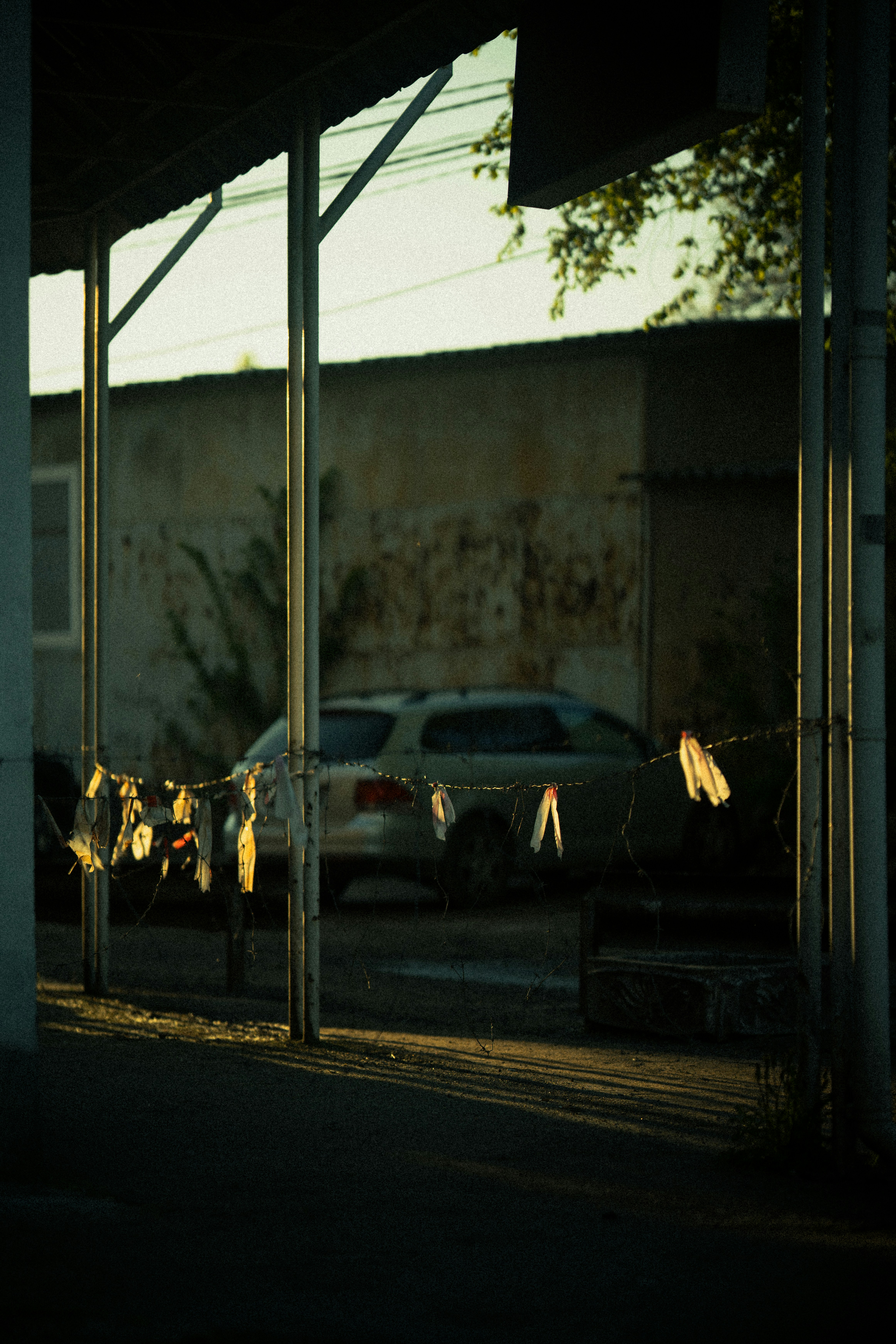 Photo by samoyedness