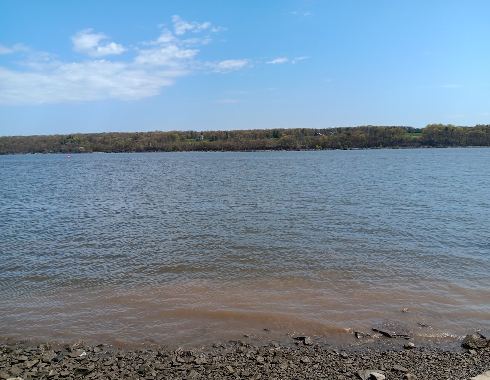 a body of water surrounded by land and trees