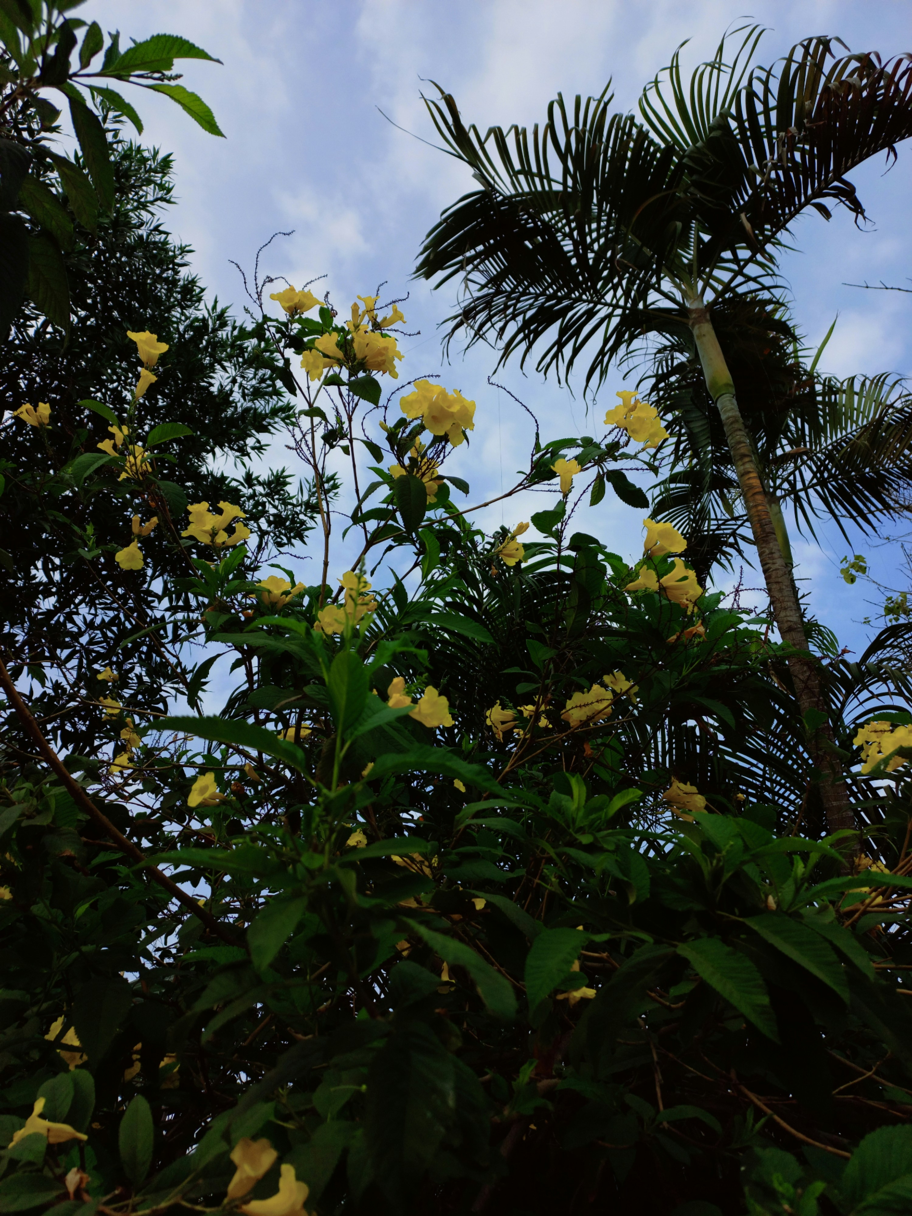 Photo by suryavanshirana_2001