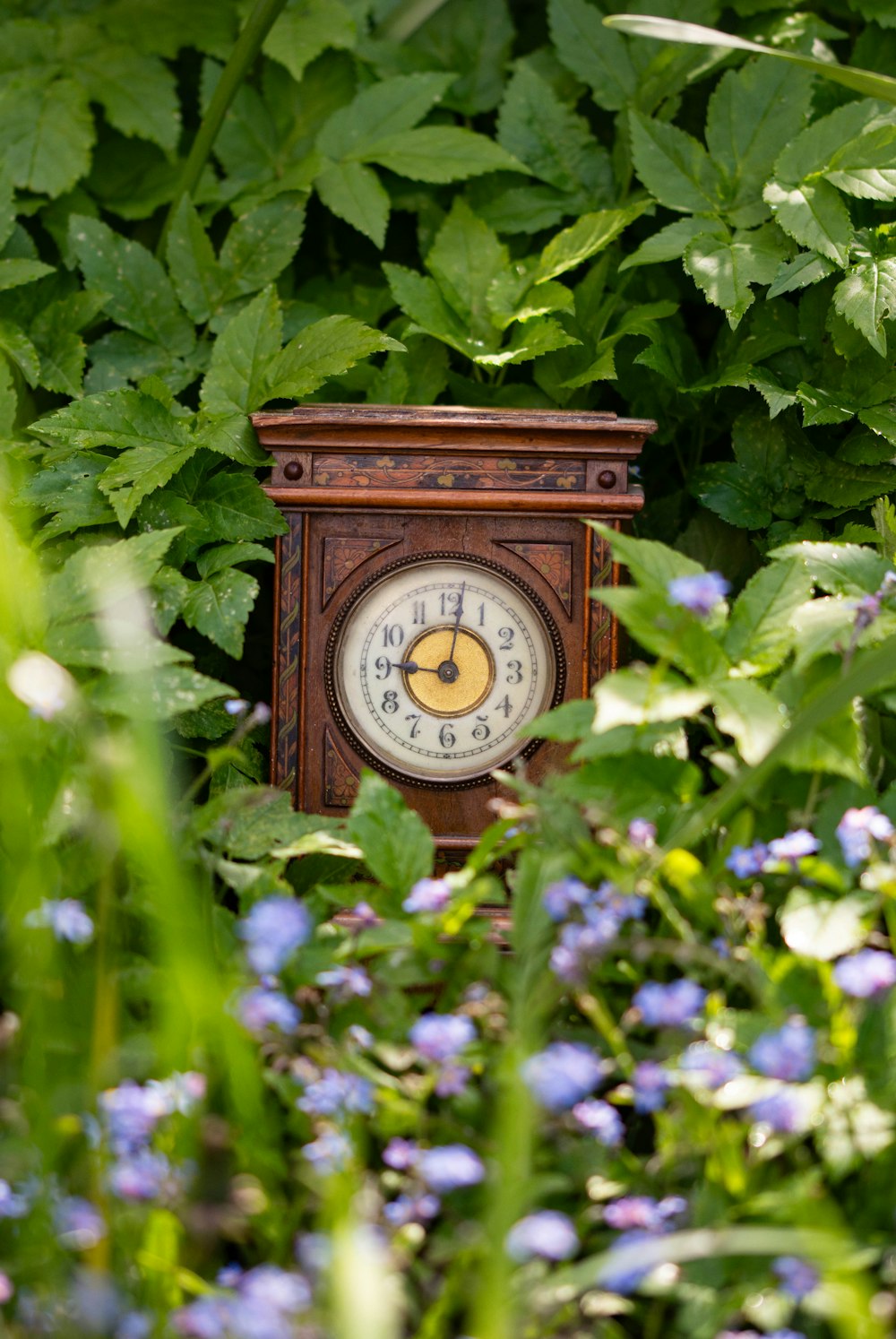 a small clock sitting in the middle of a field of flowers