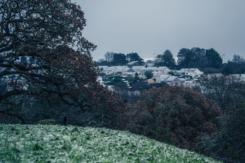 a view of a town from a hill