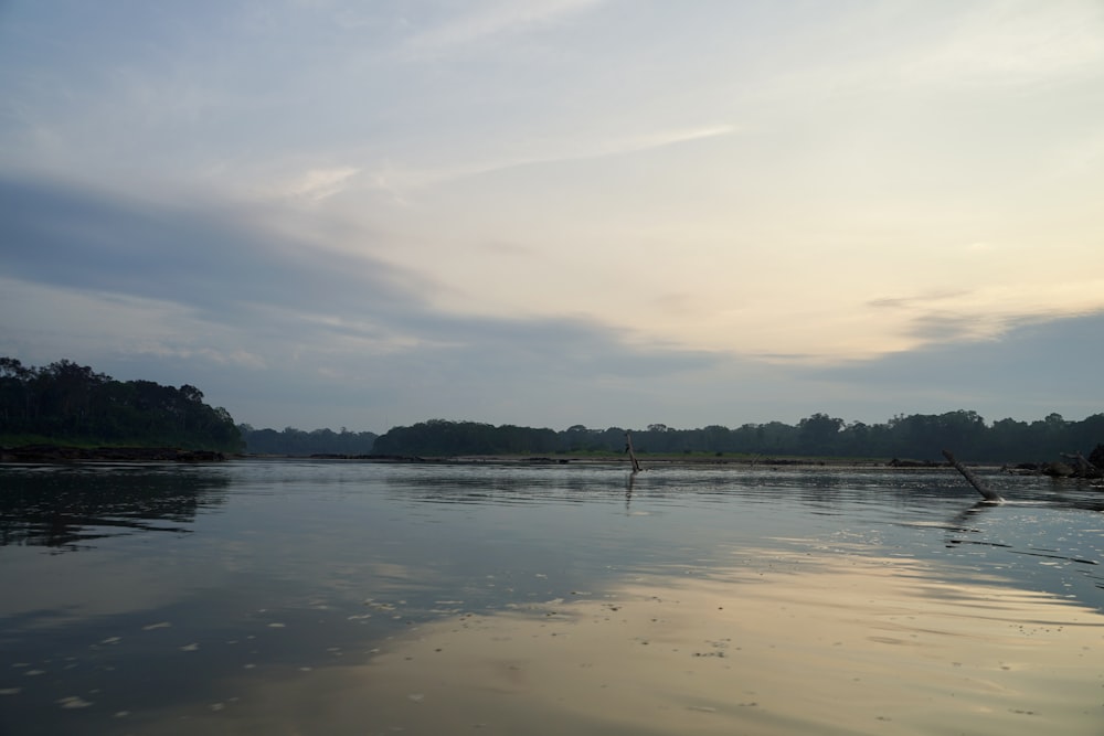 a body of water with trees in the background