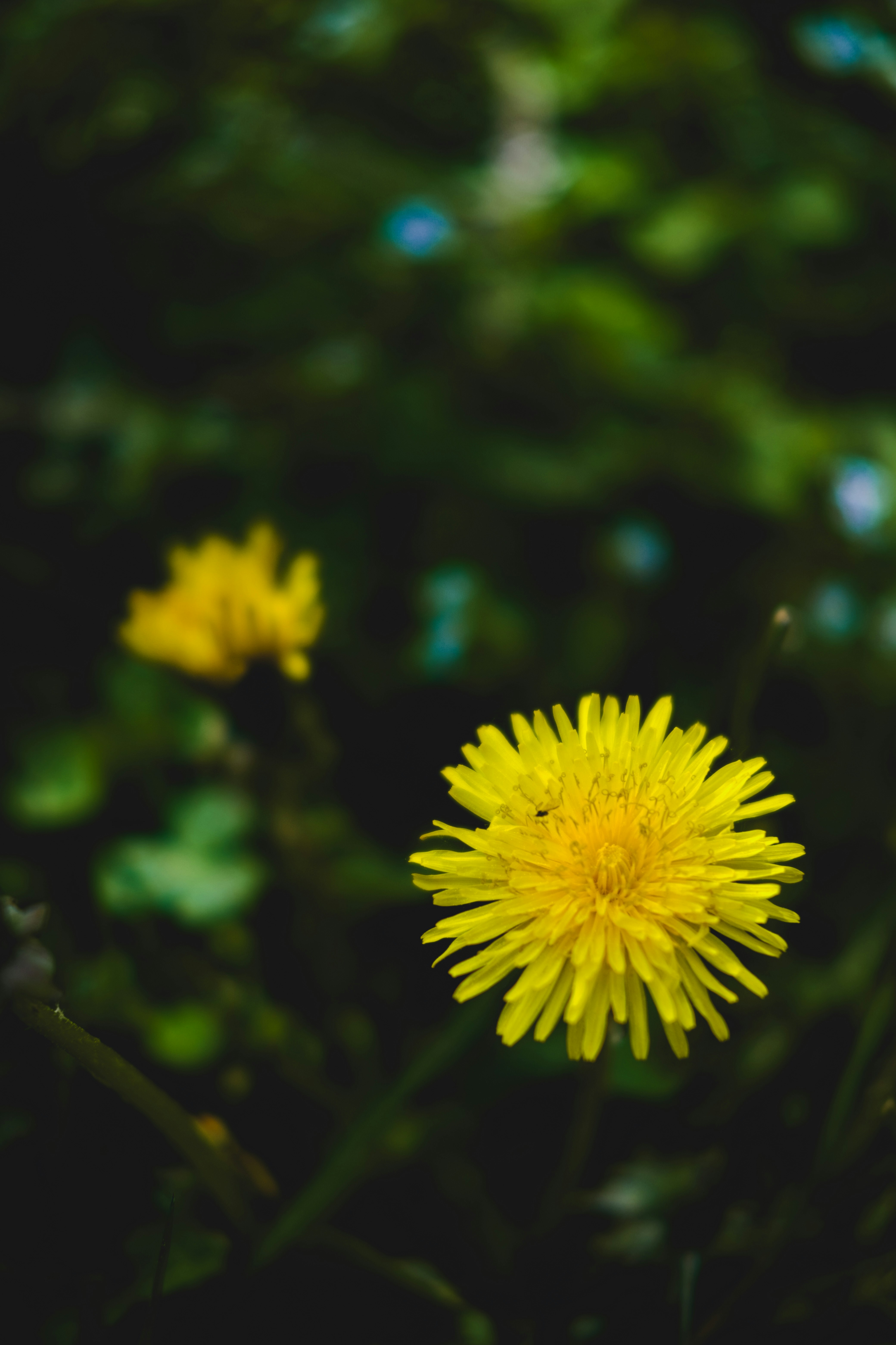 Photo by denisaficau