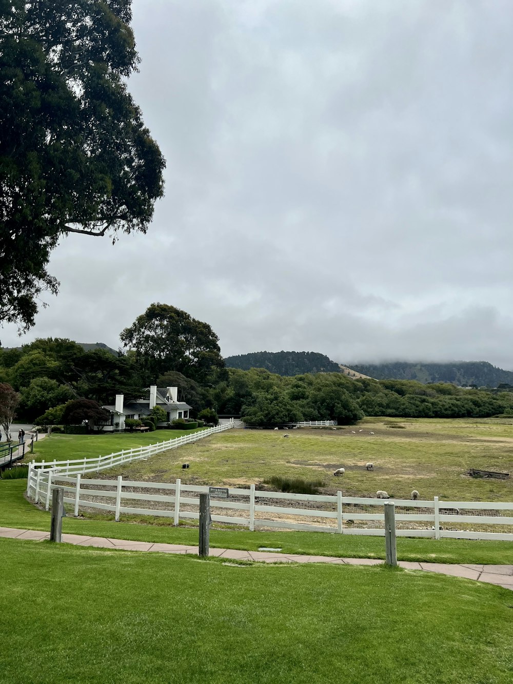 a large field with a white fence in the middle of it