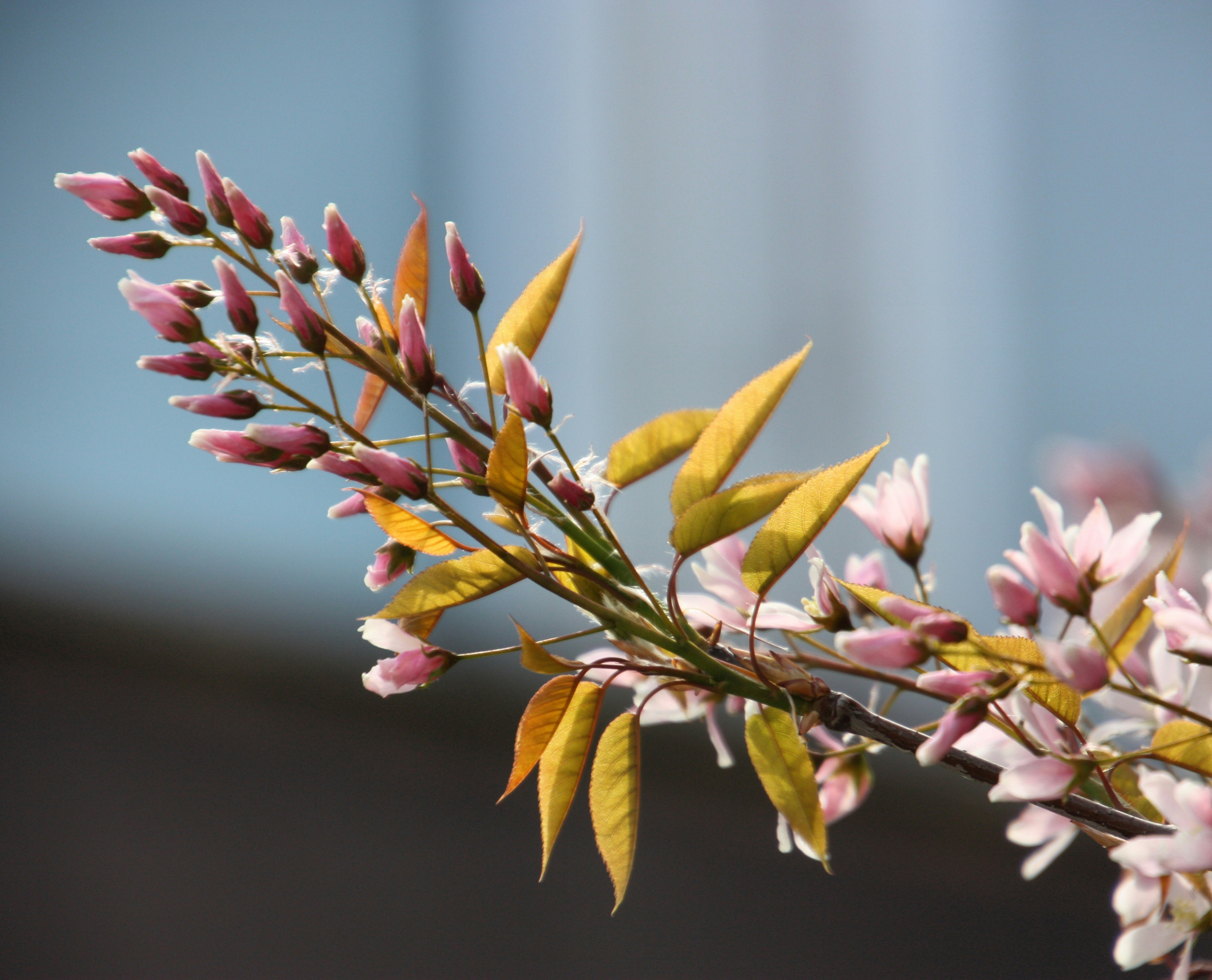 Photo by anthonyaird