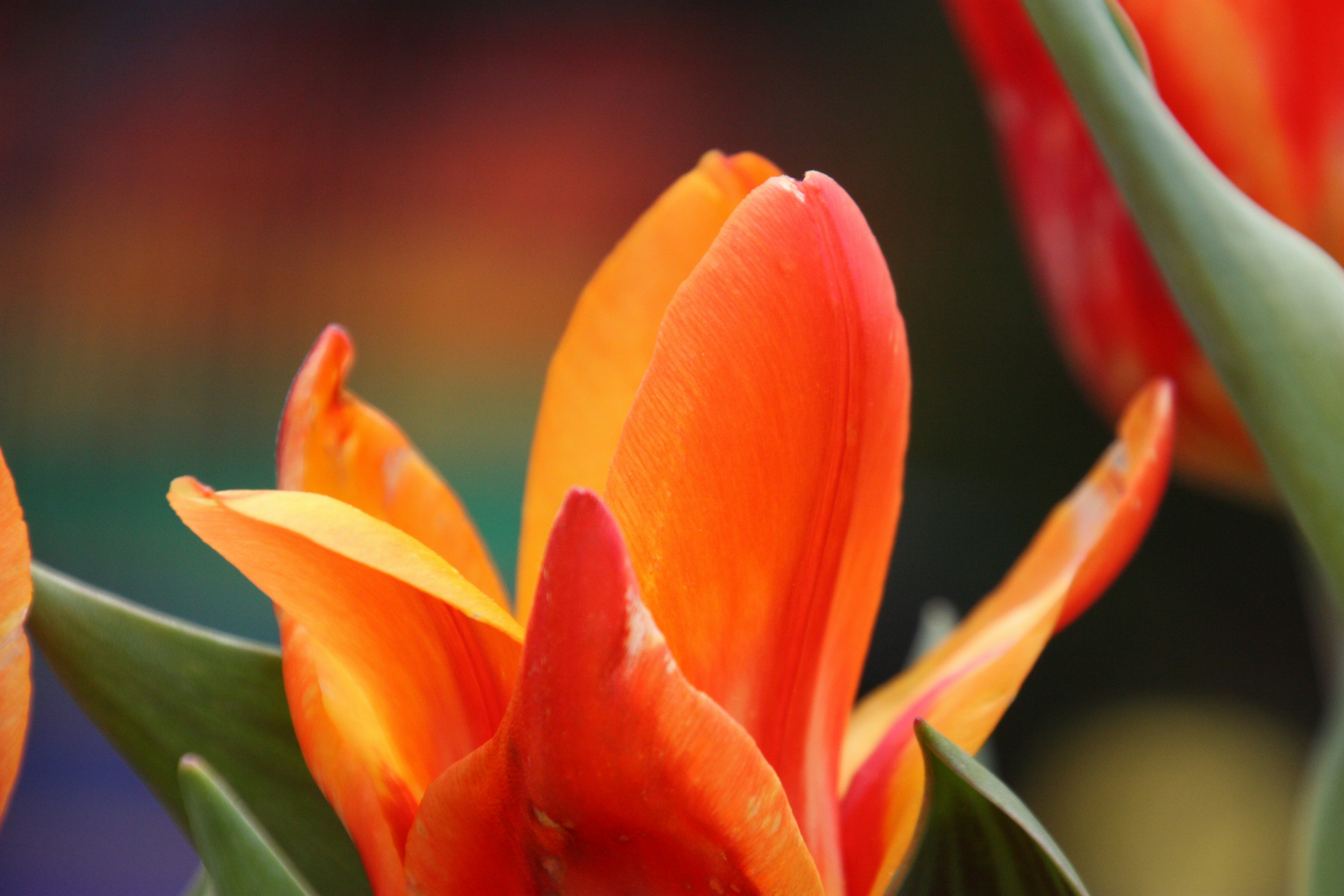 Photo by anthonyaird