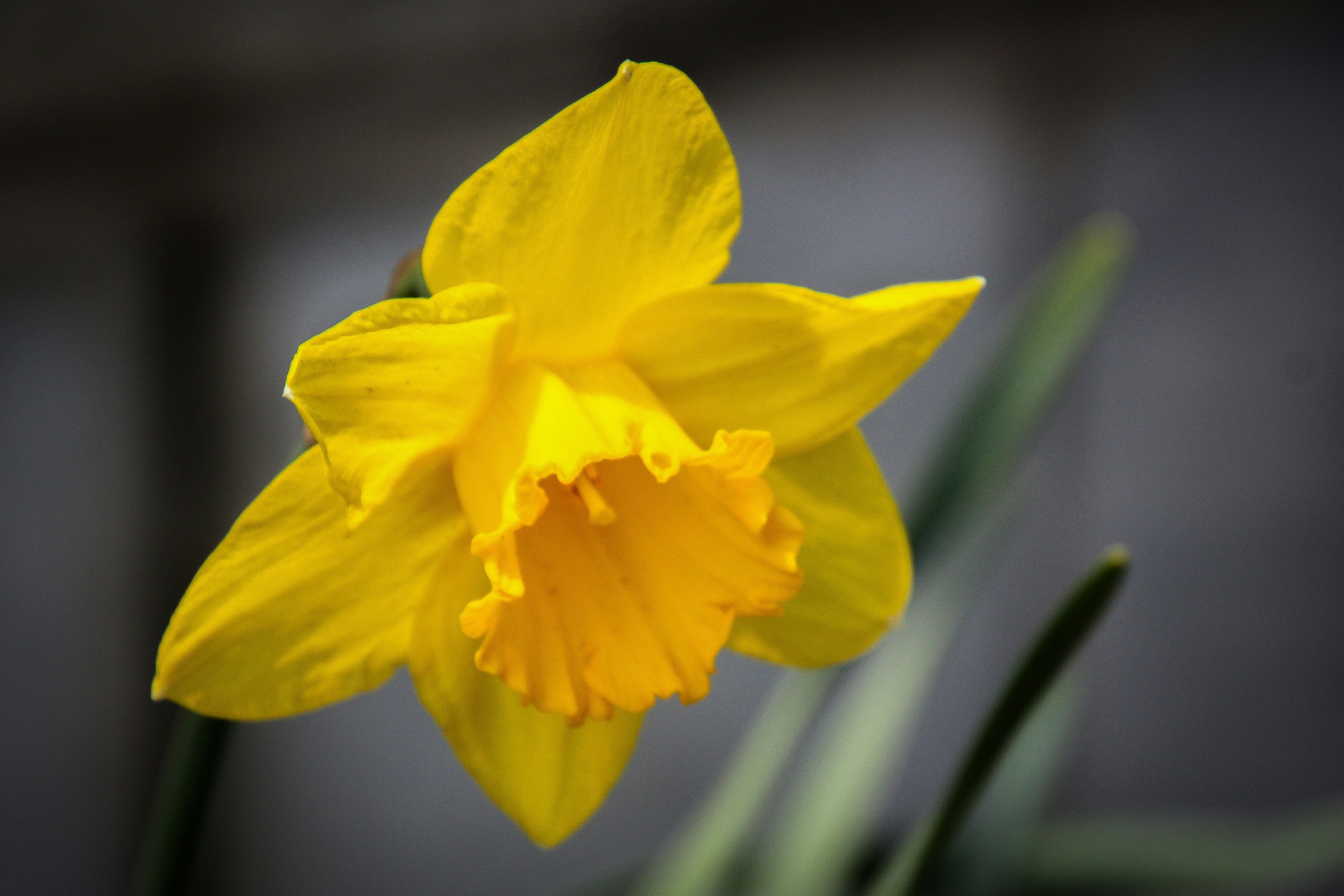 Photo by anthonyaird