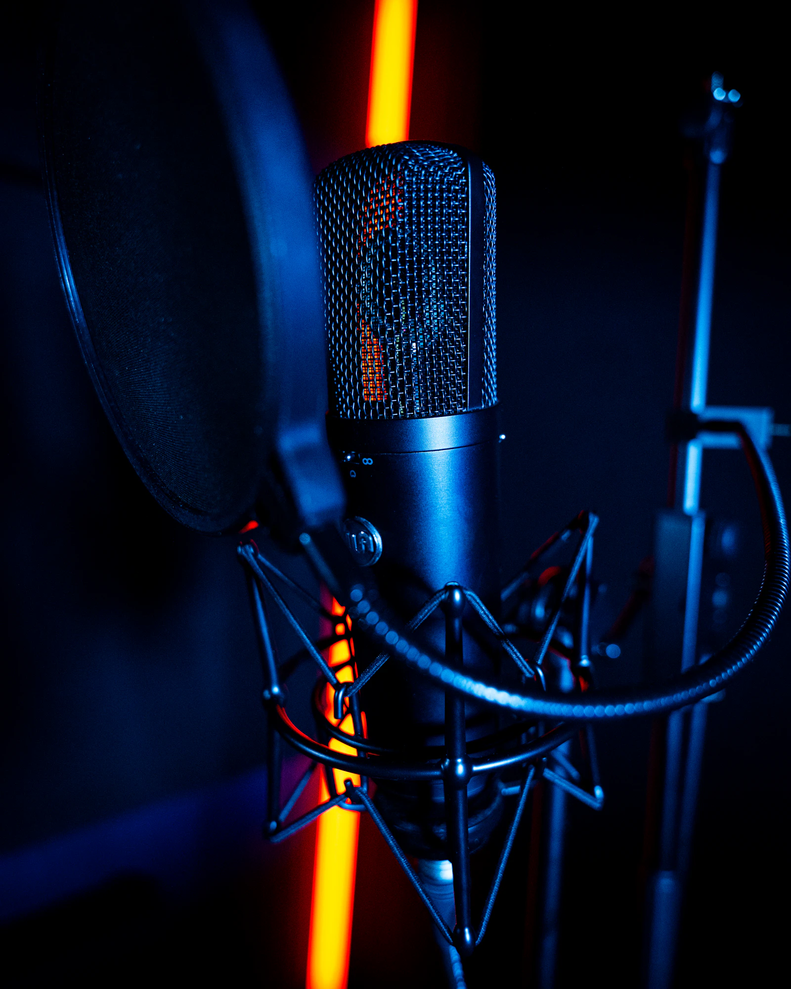 Studio microphone in a booth used as representative service imagery
