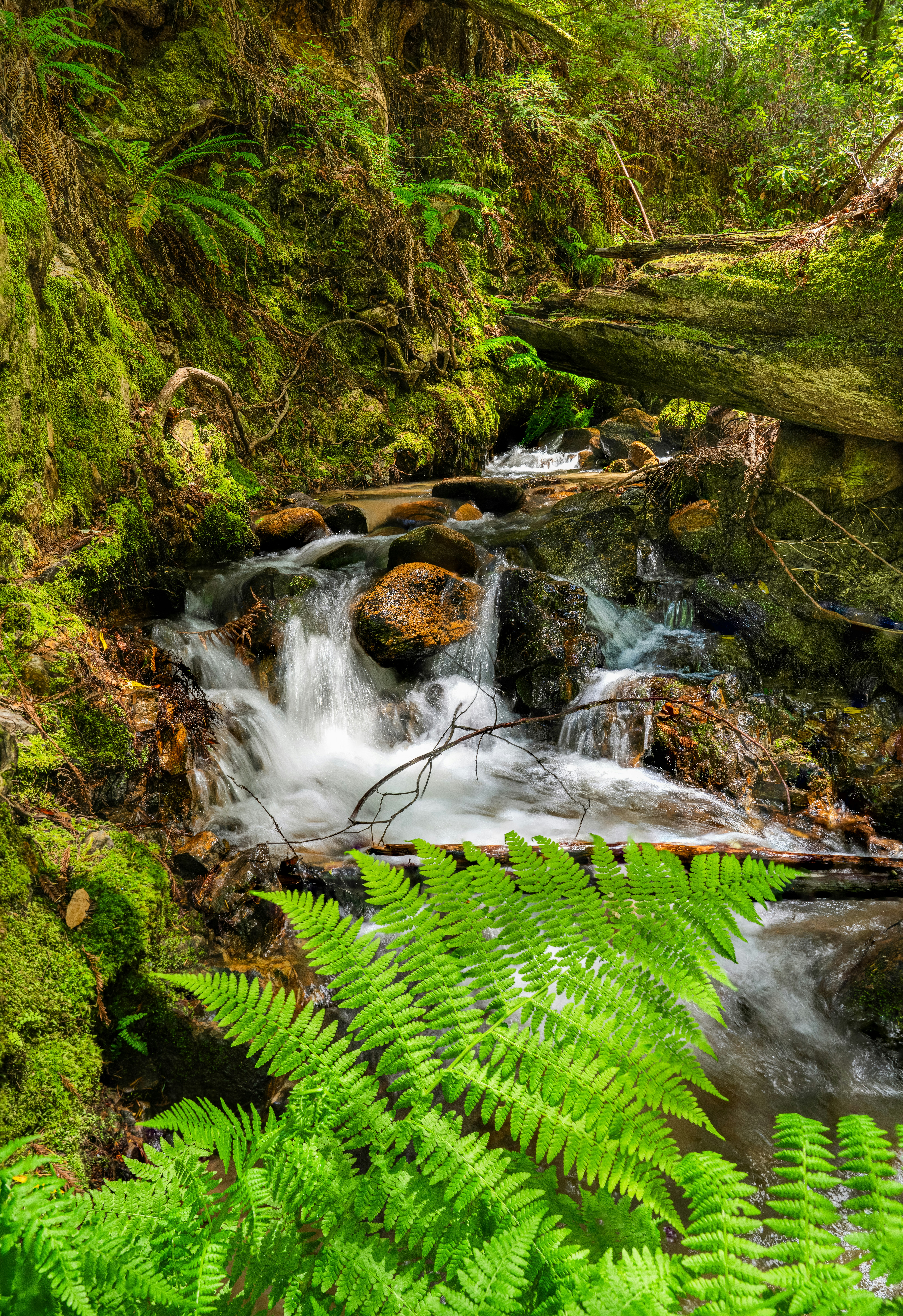 Photo by happy_pixel