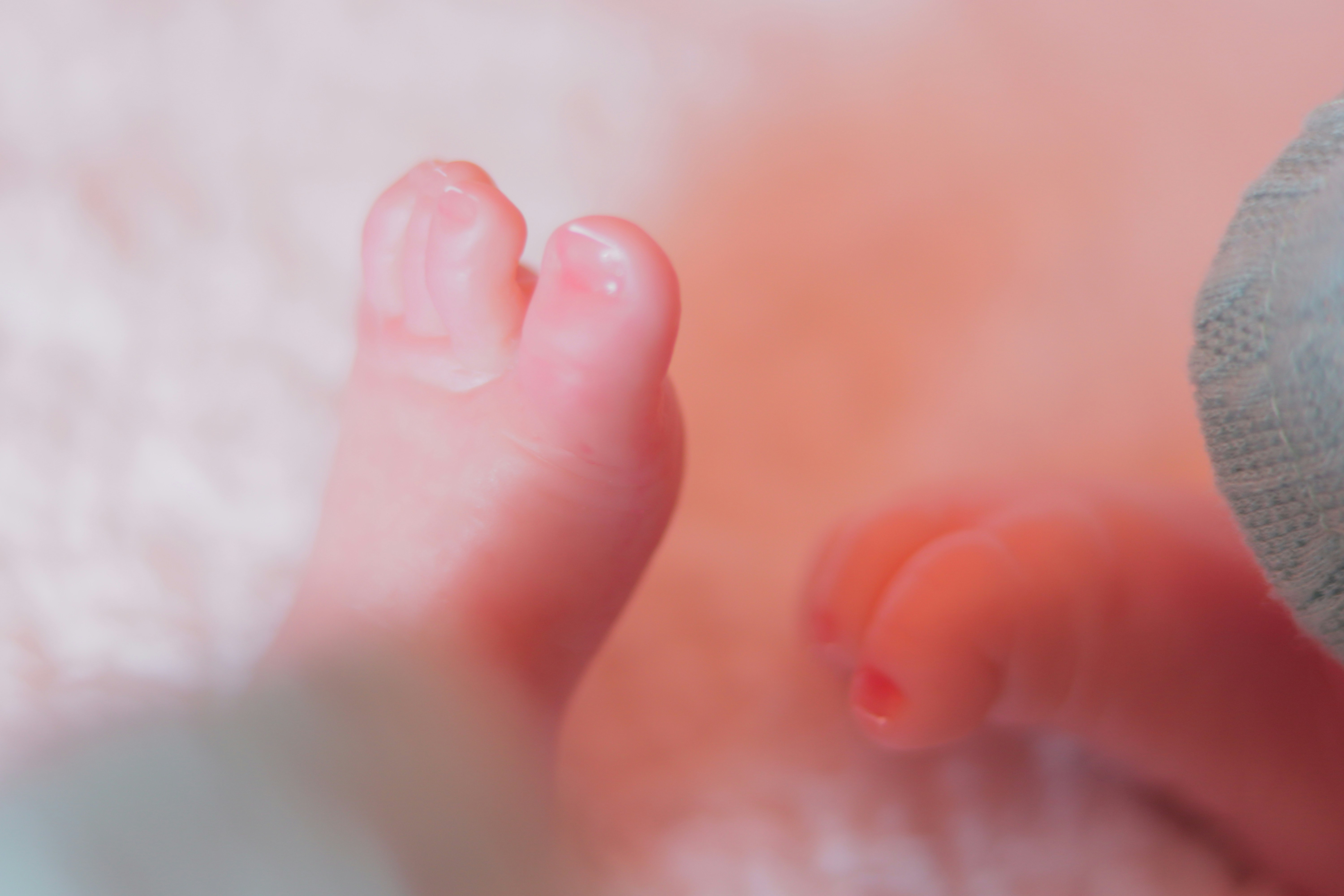 Photo by iamblondfox