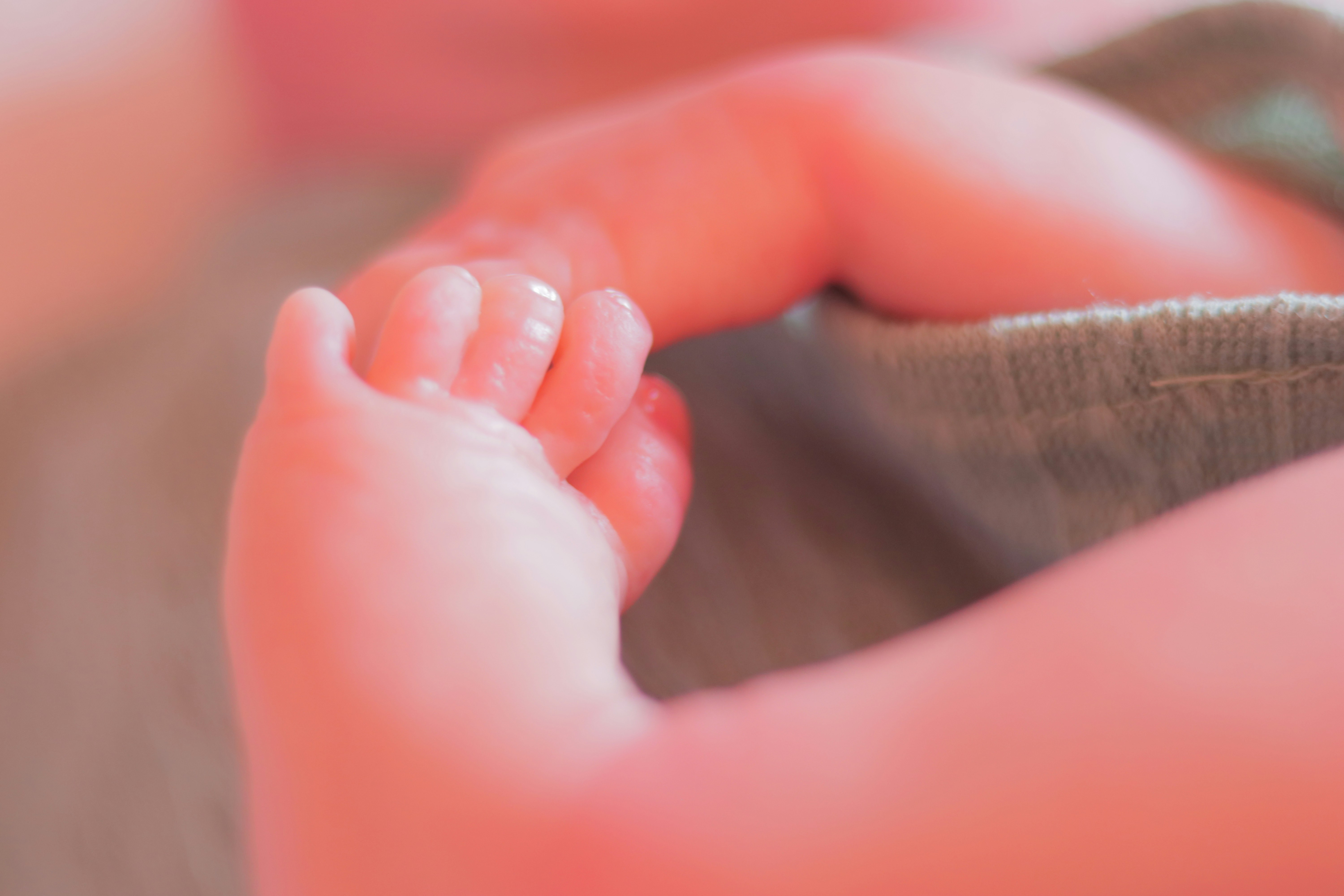 Photo by iamblondfox