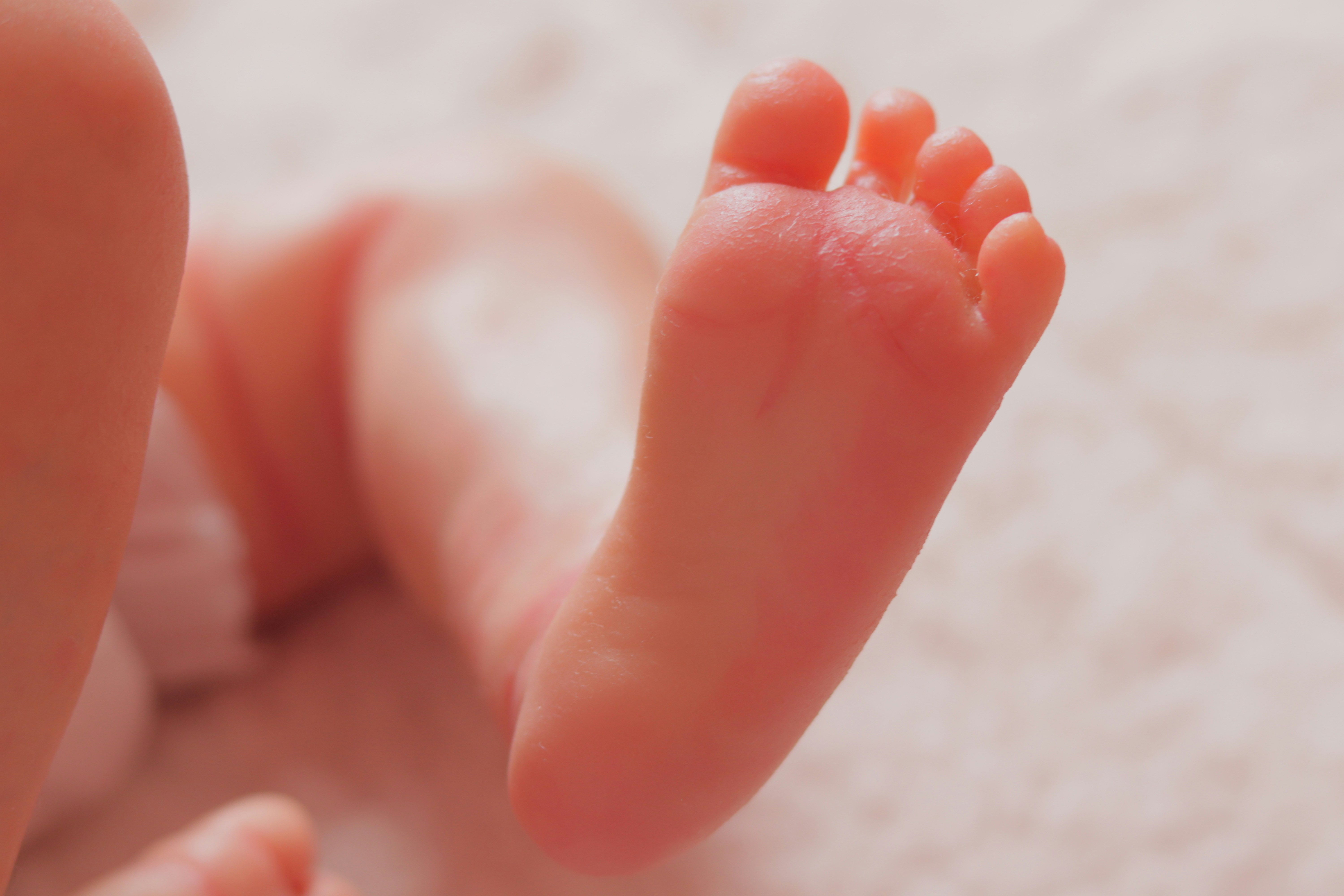 6 ilde FETÖ'nün şirketler yapılanmasına operasyon: 13 gözaltı kararı! - Cumhuriyet