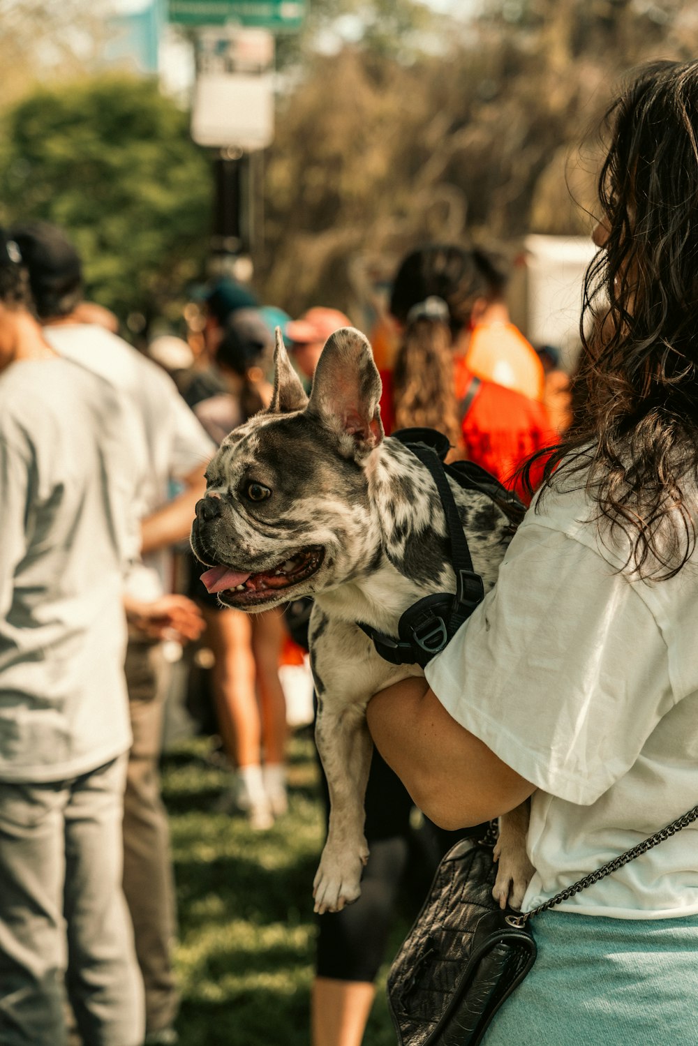 a woman holding a small dog in her arms