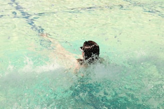 a dog swimming in a pool of water