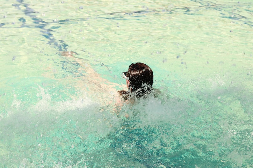 a dog swimming in a pool of water