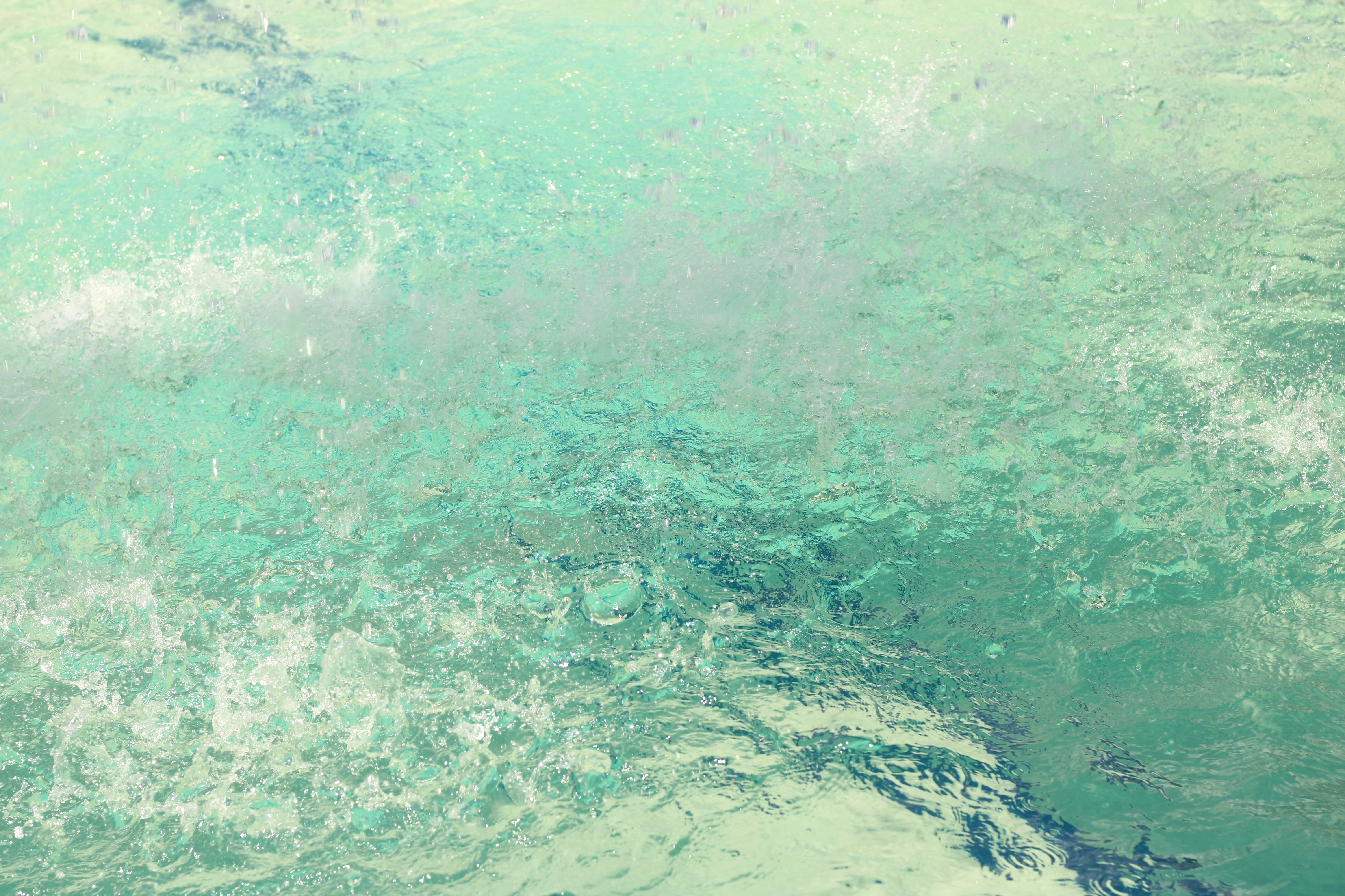 Photo by iamblondfox