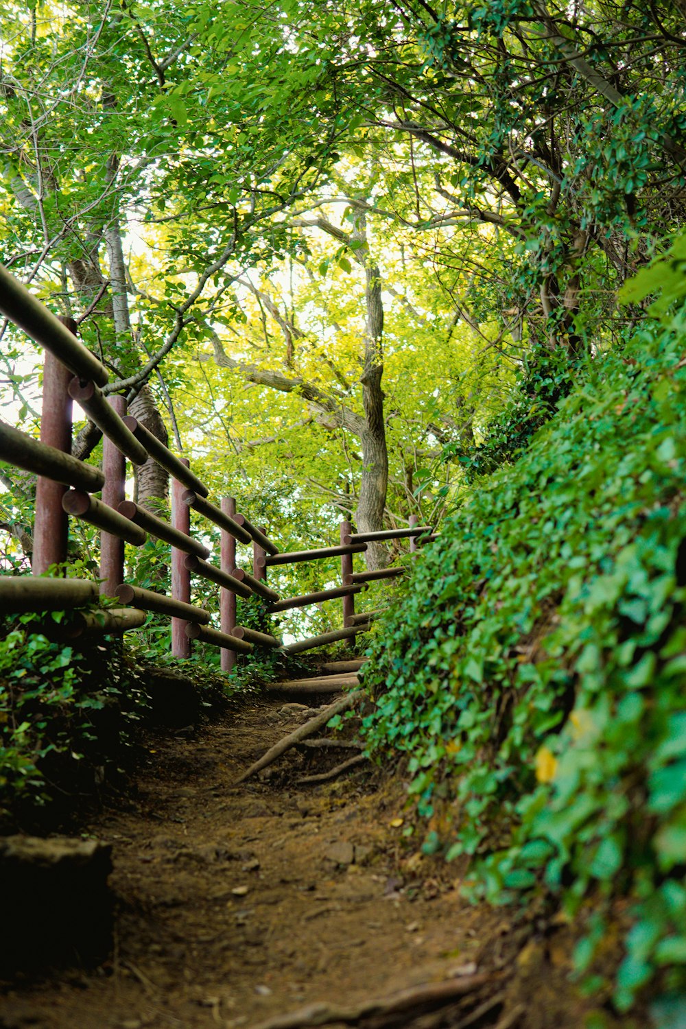 a wooden bridge over a dirt path in the woods