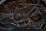 a close up of a bunch of wires